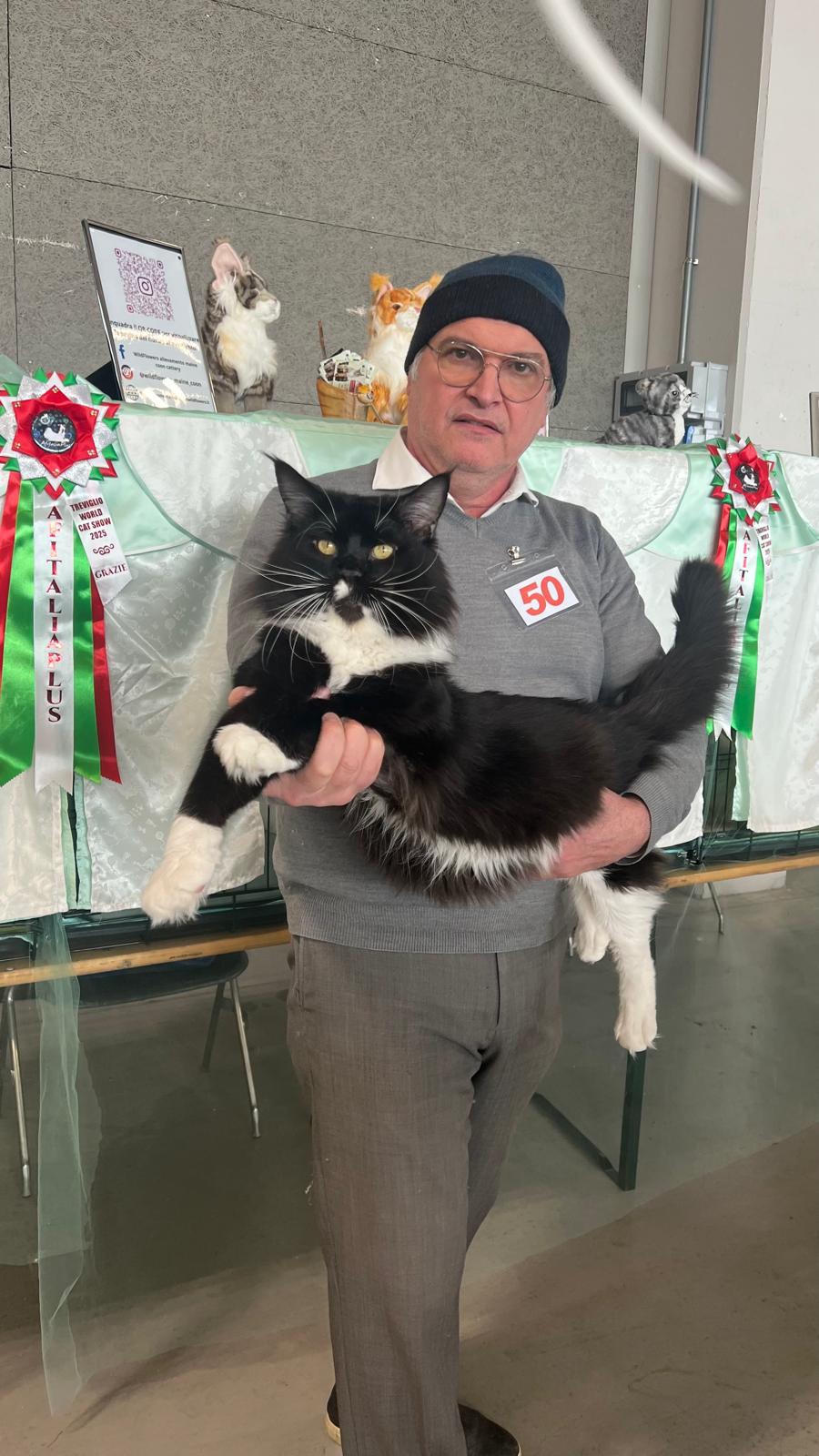 Wildflowers Highlander