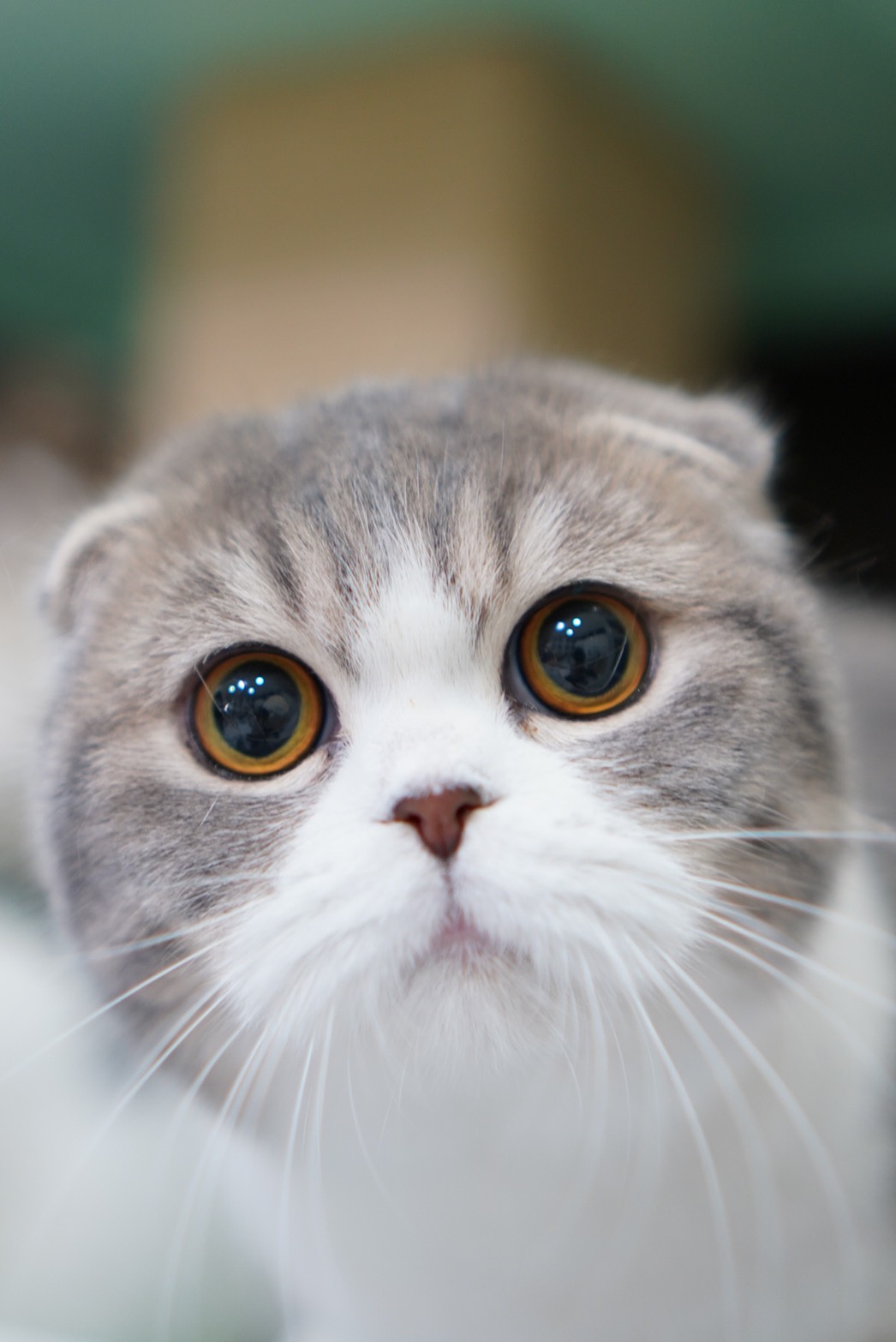 Bharchad's Cloudy Blue