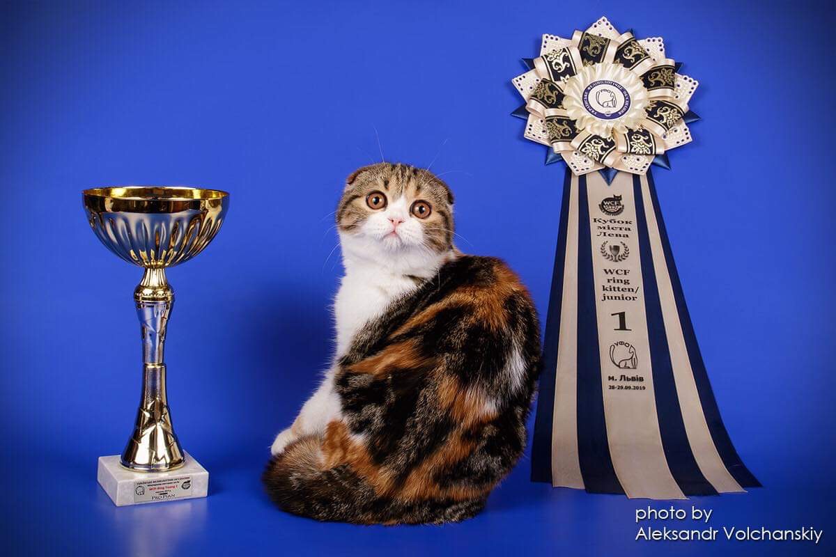 CH. CHICLANDIA FRANCESCA