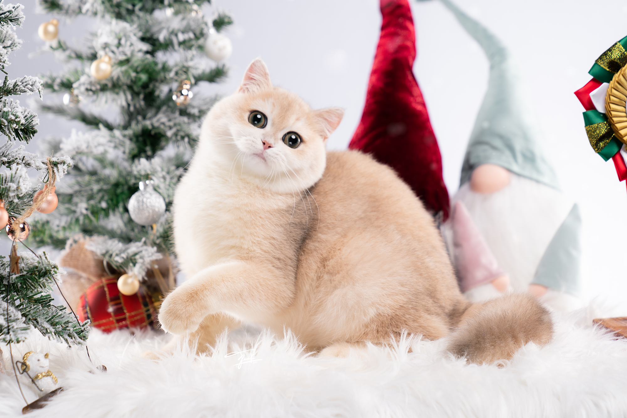 Sonder Thana’s DenChan