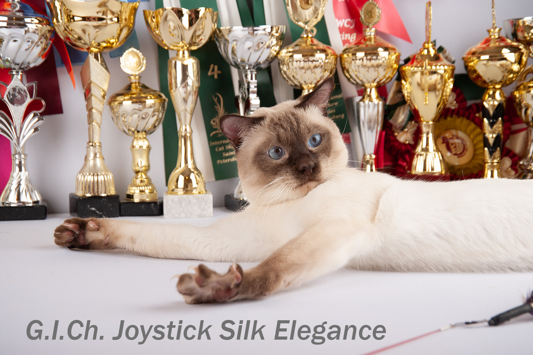 GECH. Joystick Silk Elegance