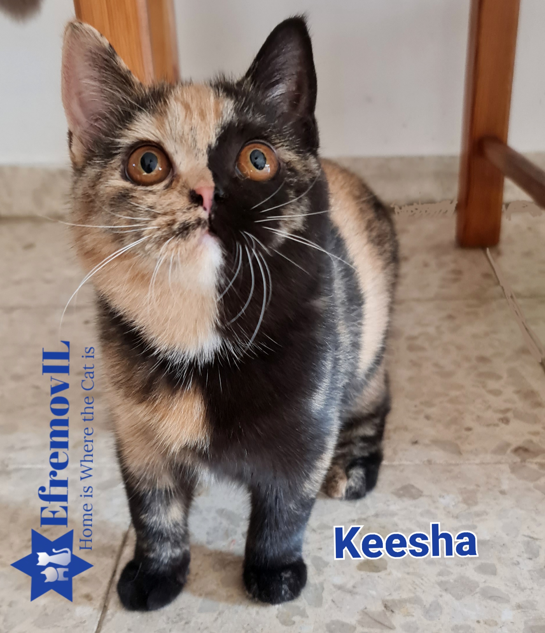 KPR. EfremovIL Keesha