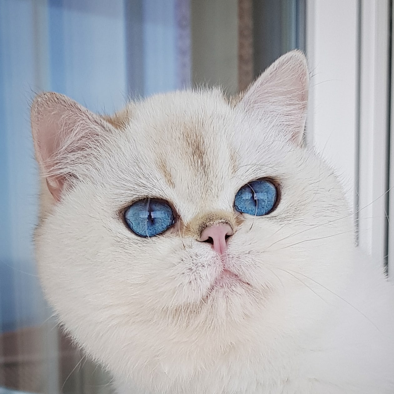 Gloria Sinem's Points