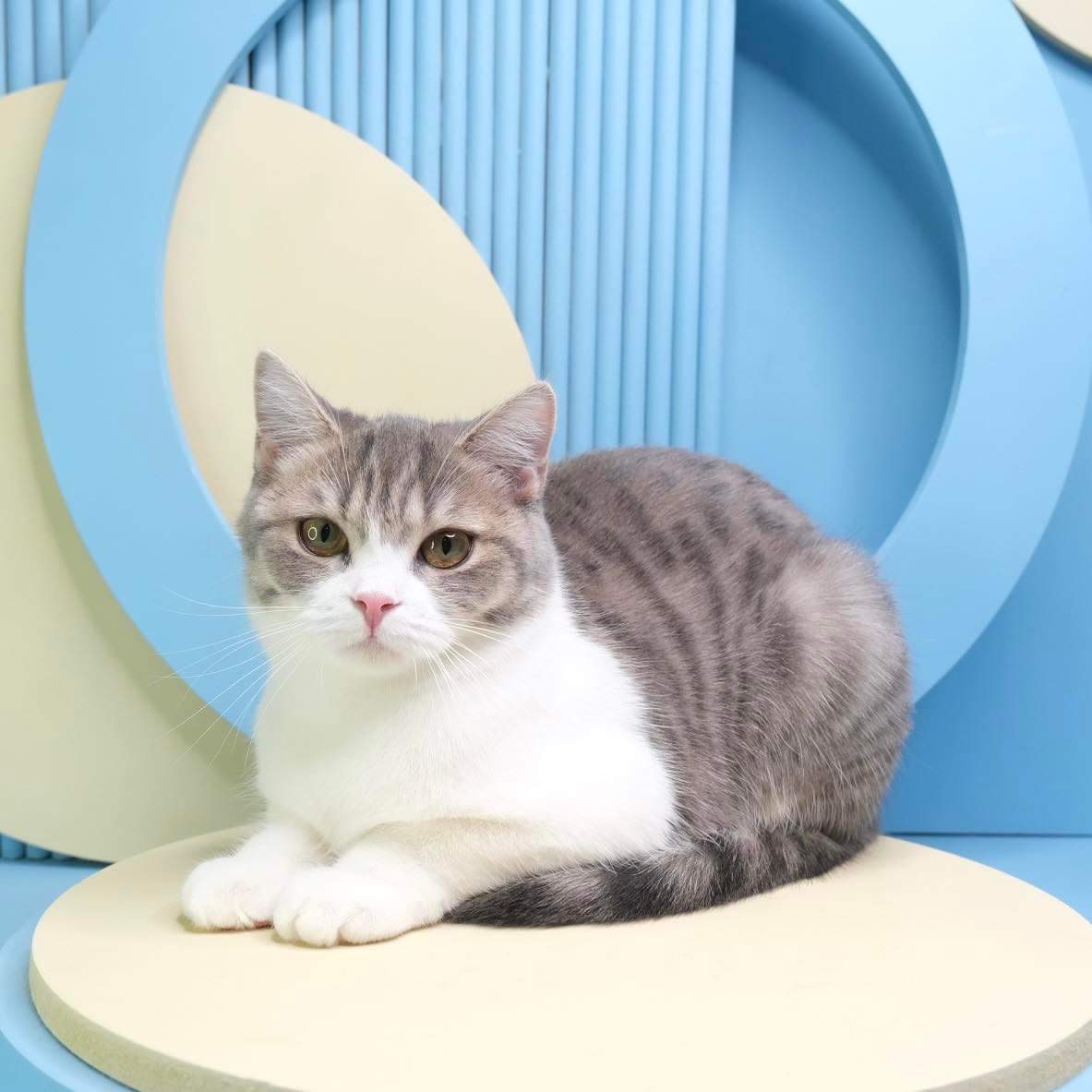 Mahawanruuay Minnie