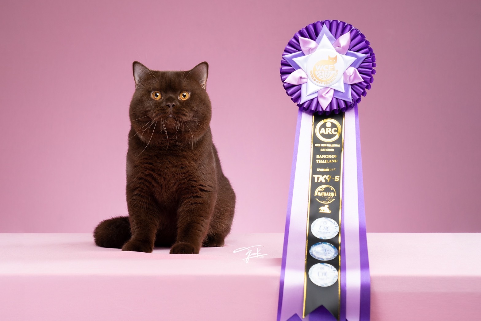 X-Ray Plush Blue Ray