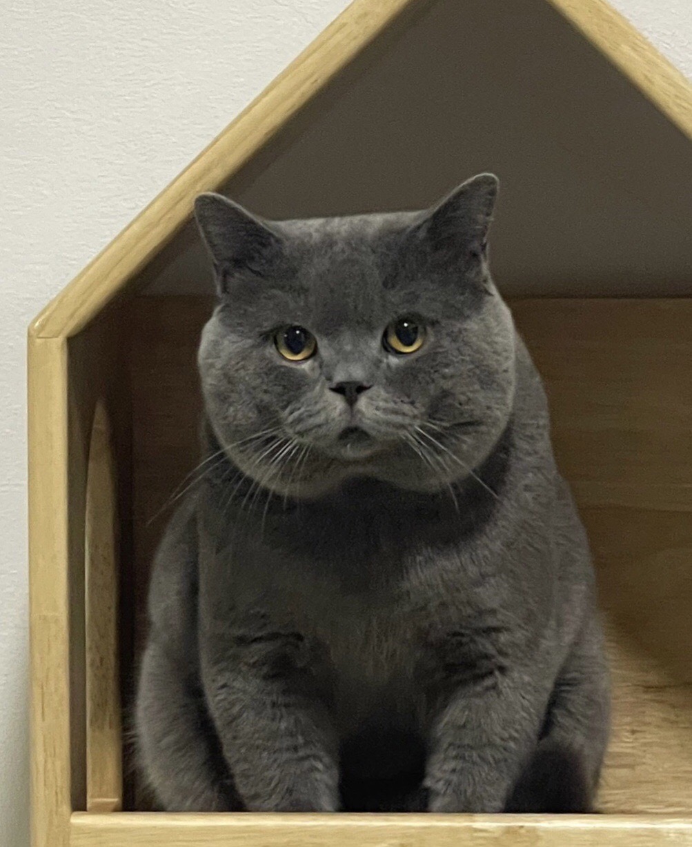 Asia Empire Game Over