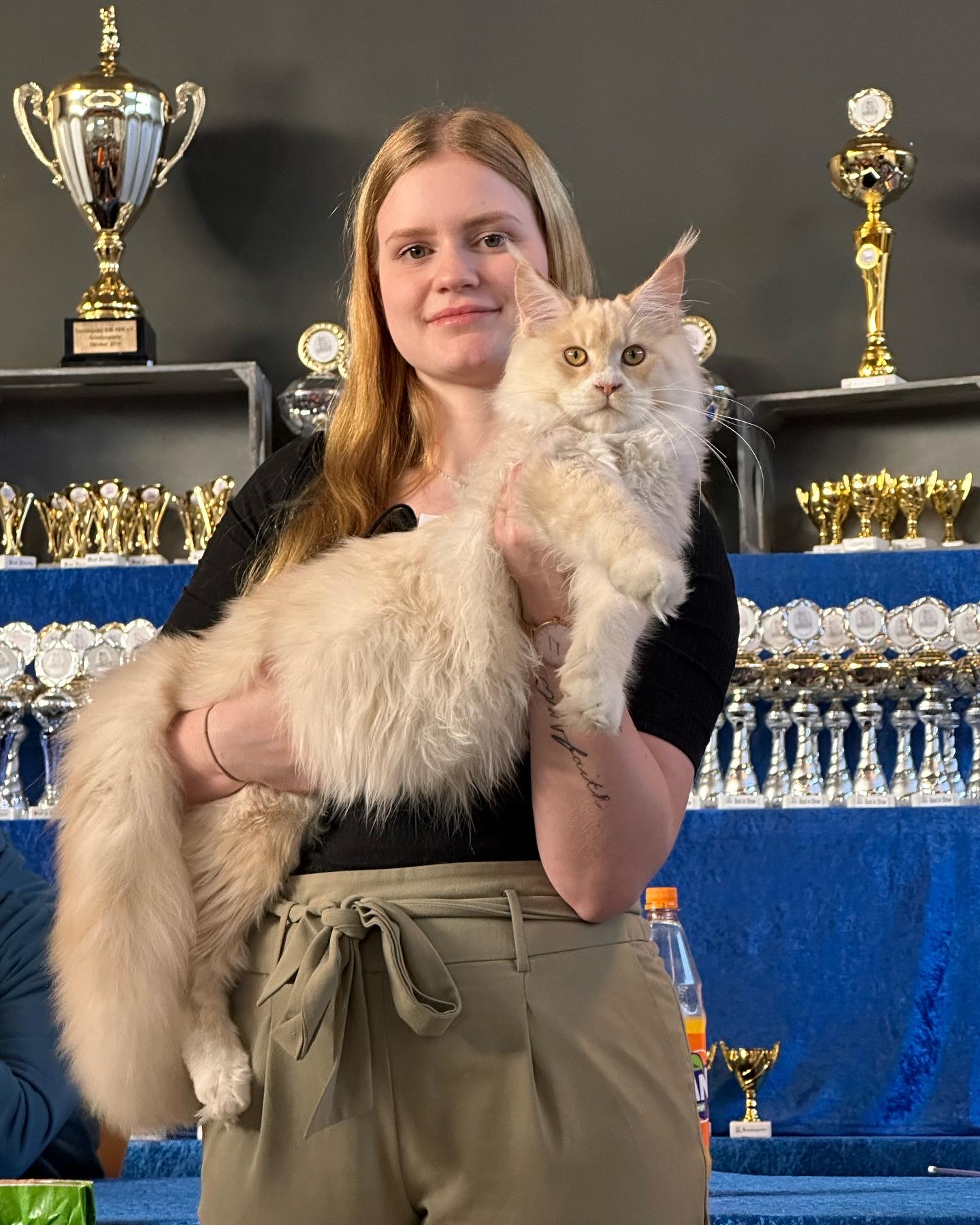 KCH. Zalos of Ironbay