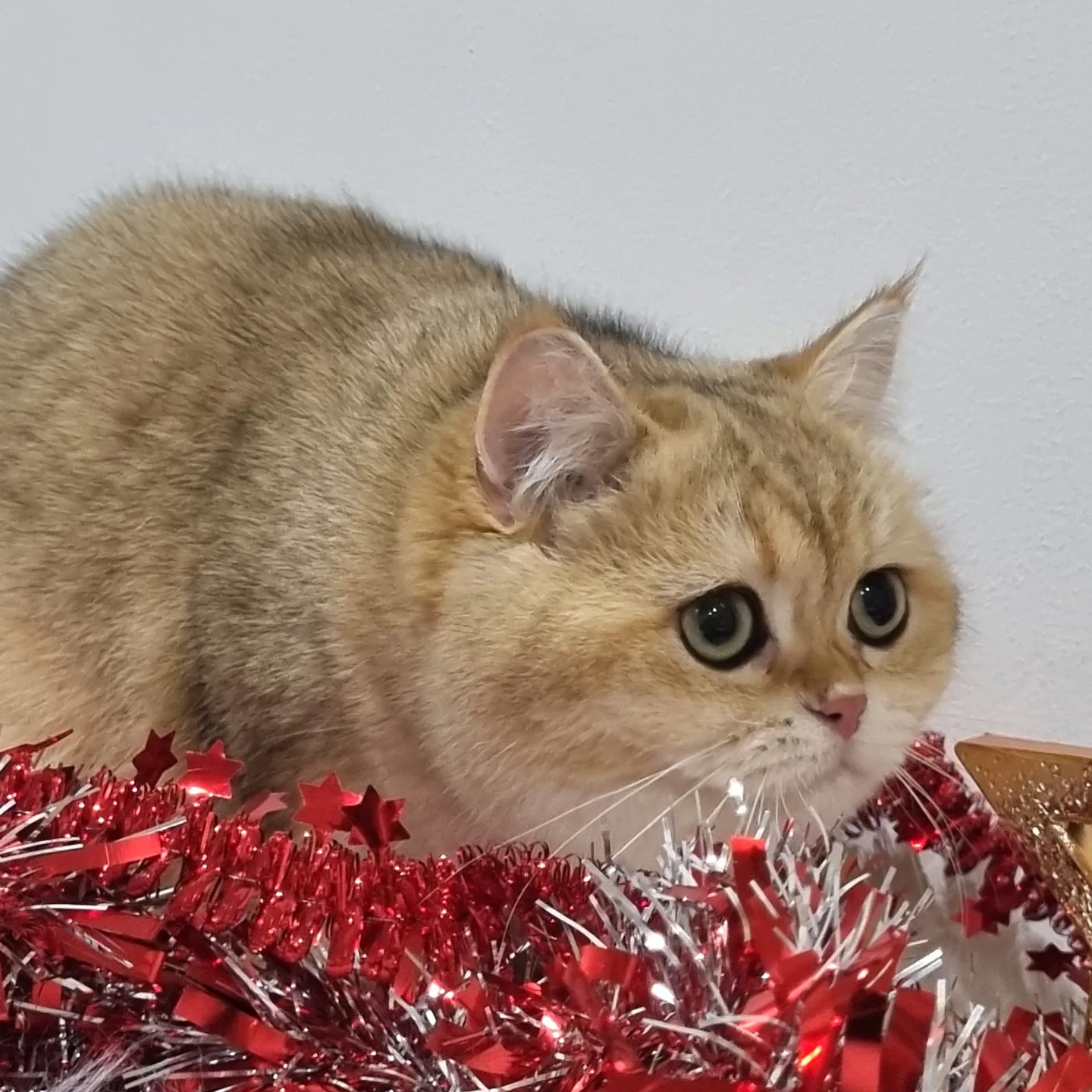 Infinity Jewel Quella