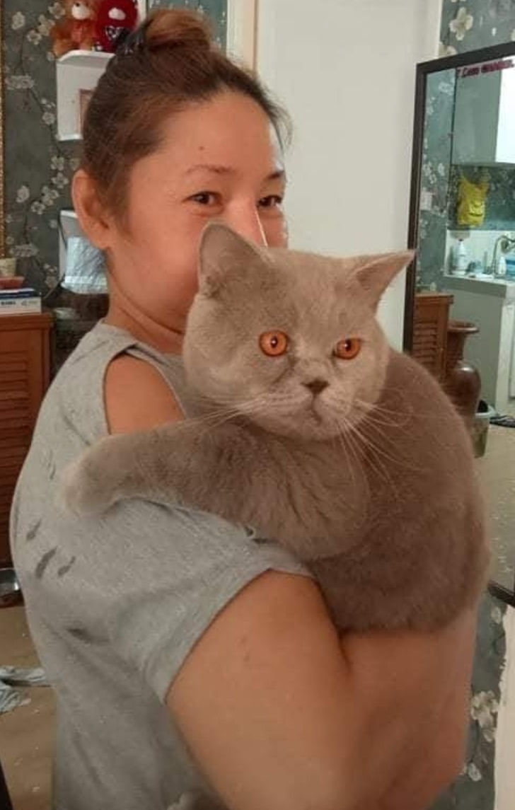 UA*Sweet Beast Boss Amo