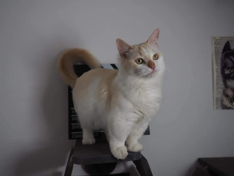 Ore Caelo*RU Arizona