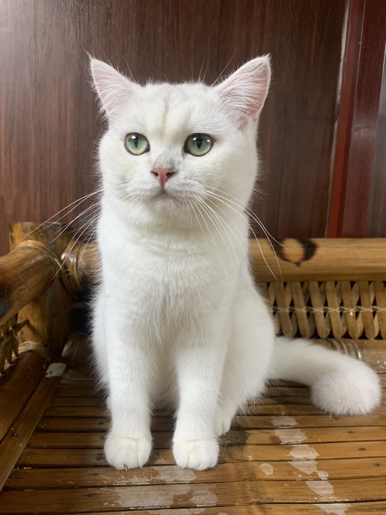 BG*Barbara Bahaty Emerald