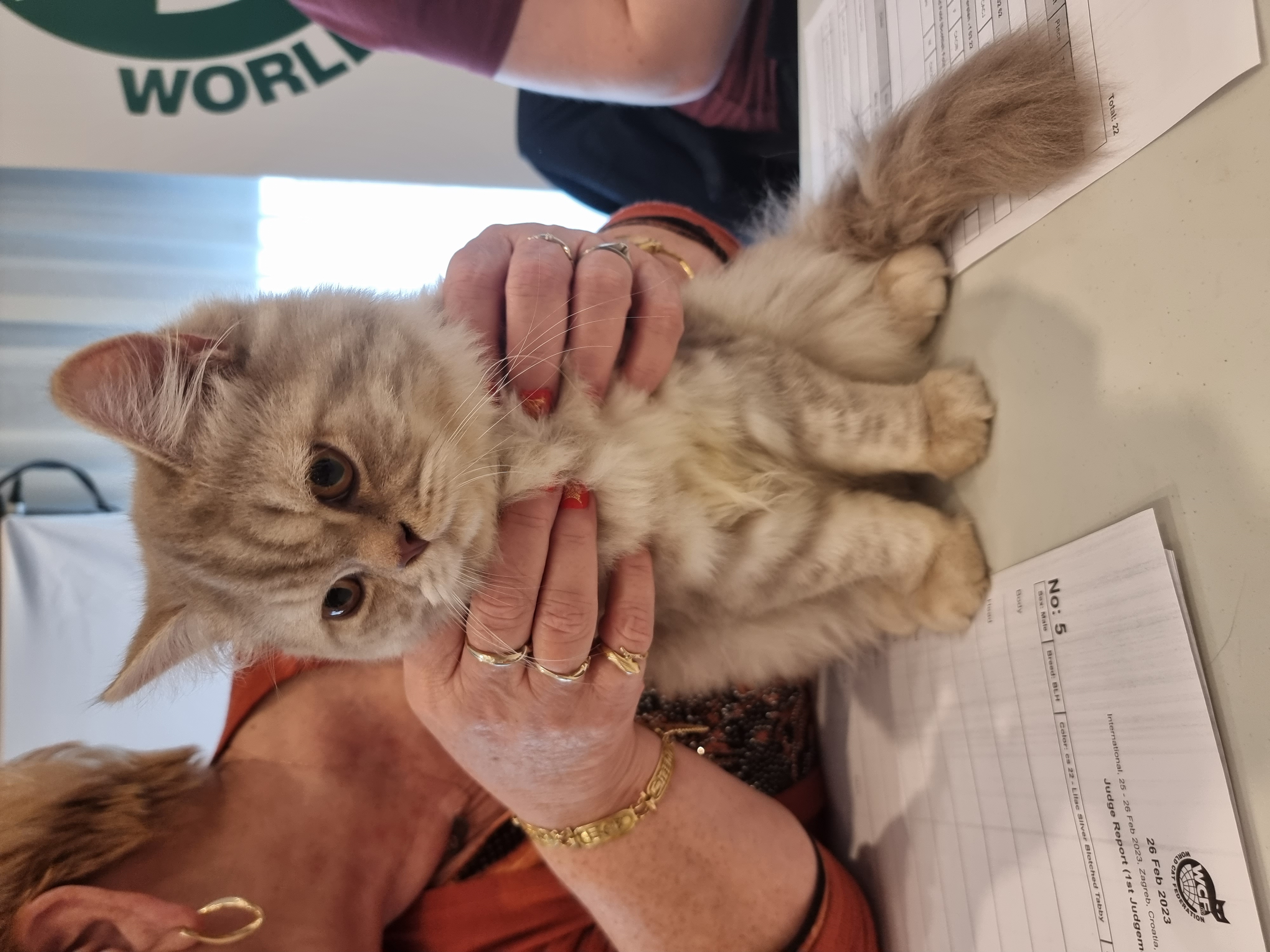 JCH. Eddy Royal Flush*HR