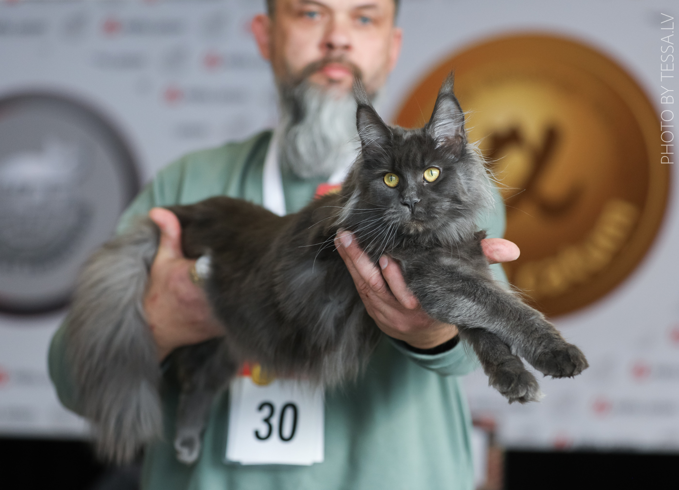 Margarita Summer Like a Lion