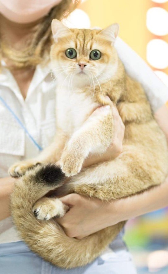 Lady Emily Asiza's pride