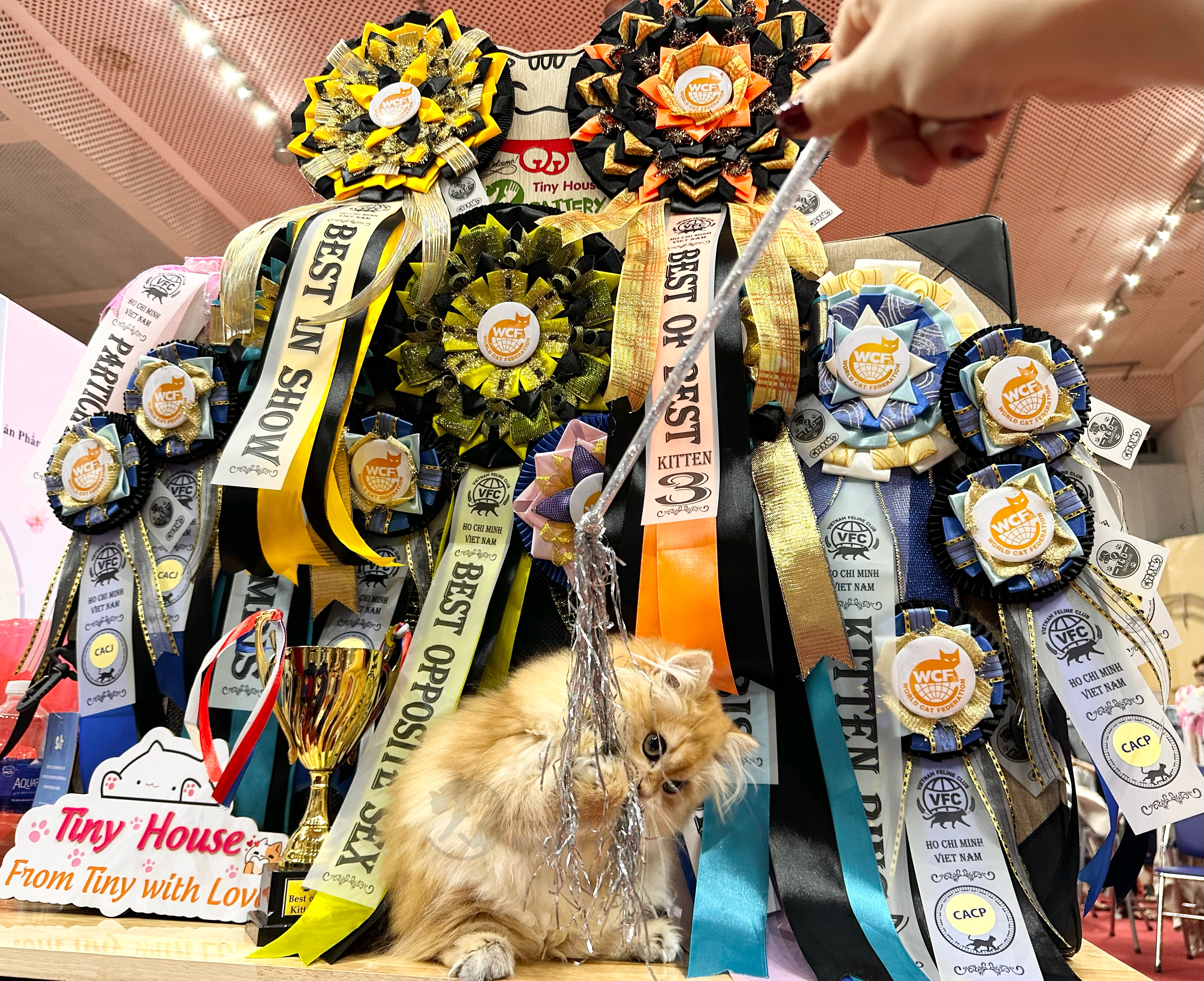 KCH. Tinyhouse Ludmila