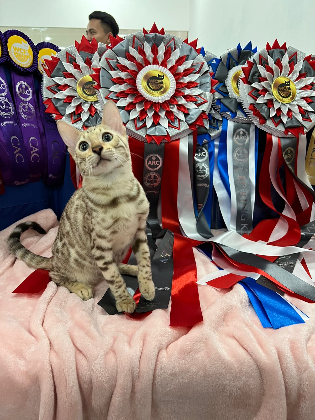 LOVE MARCO FURANO BEN