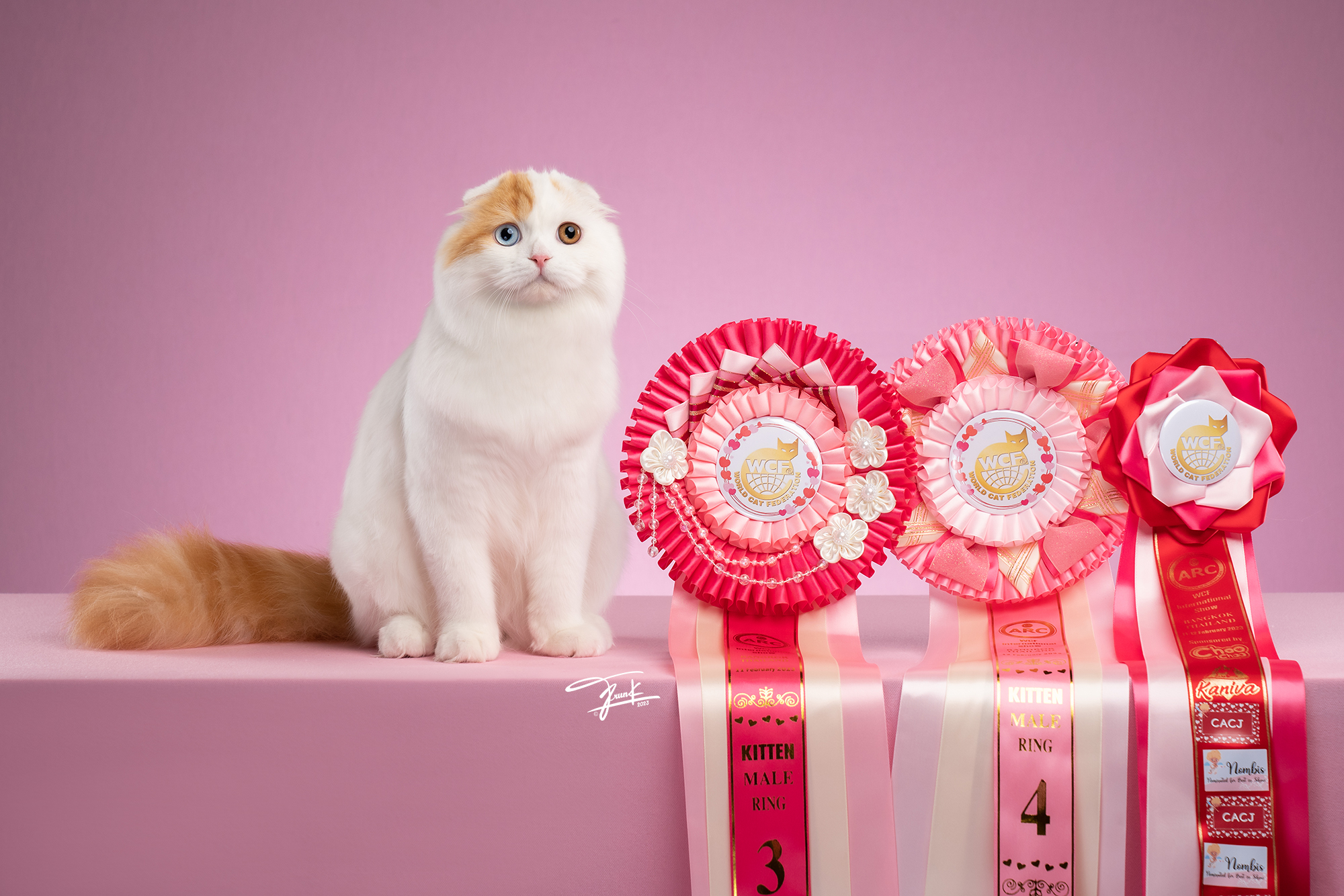 JCH. The Rustic’s Barco