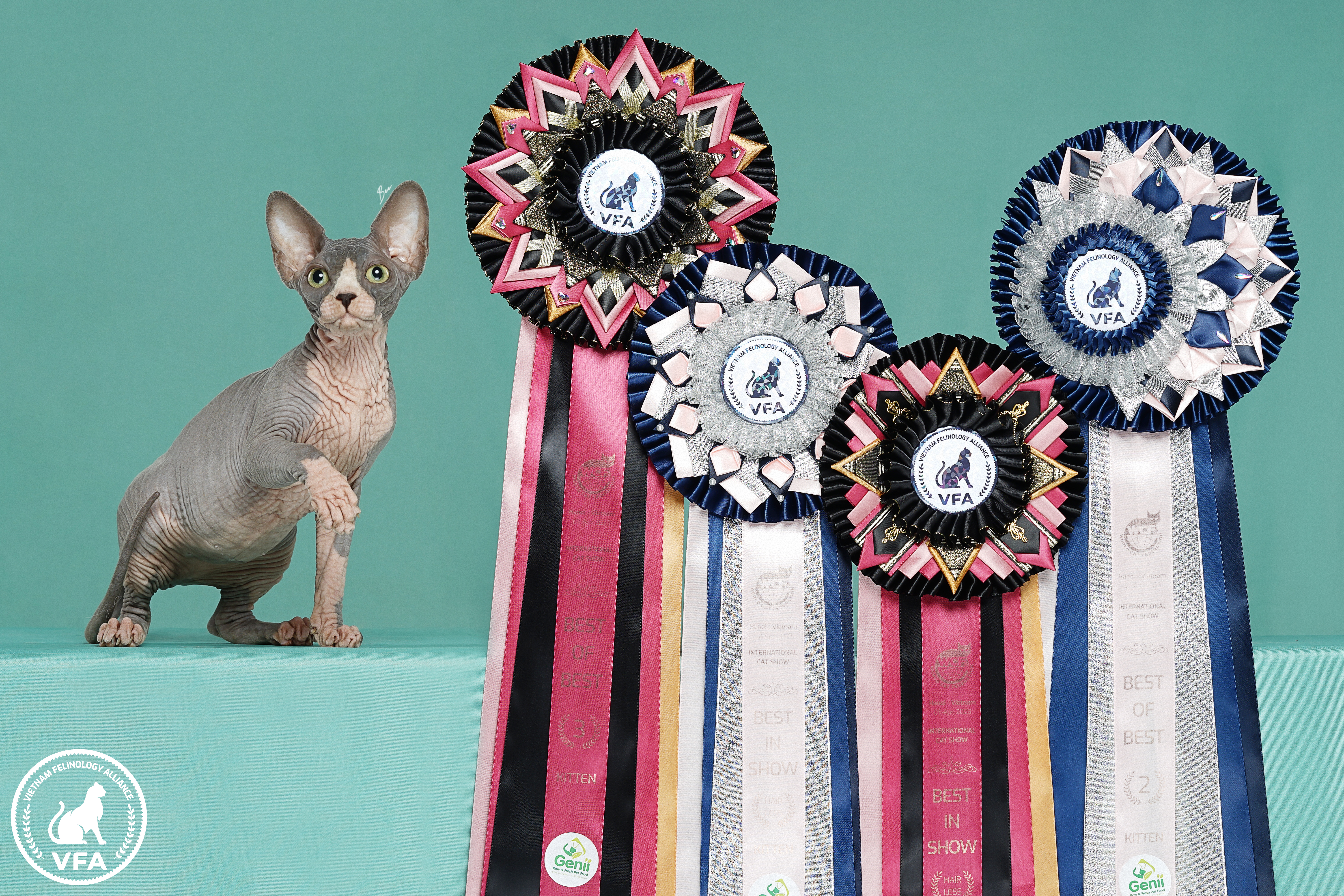 KCH. DANIELA SLADA GIFTS