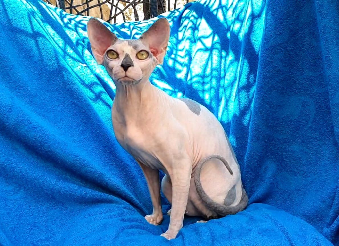 ES* Denoa Mommy’s lil Monster