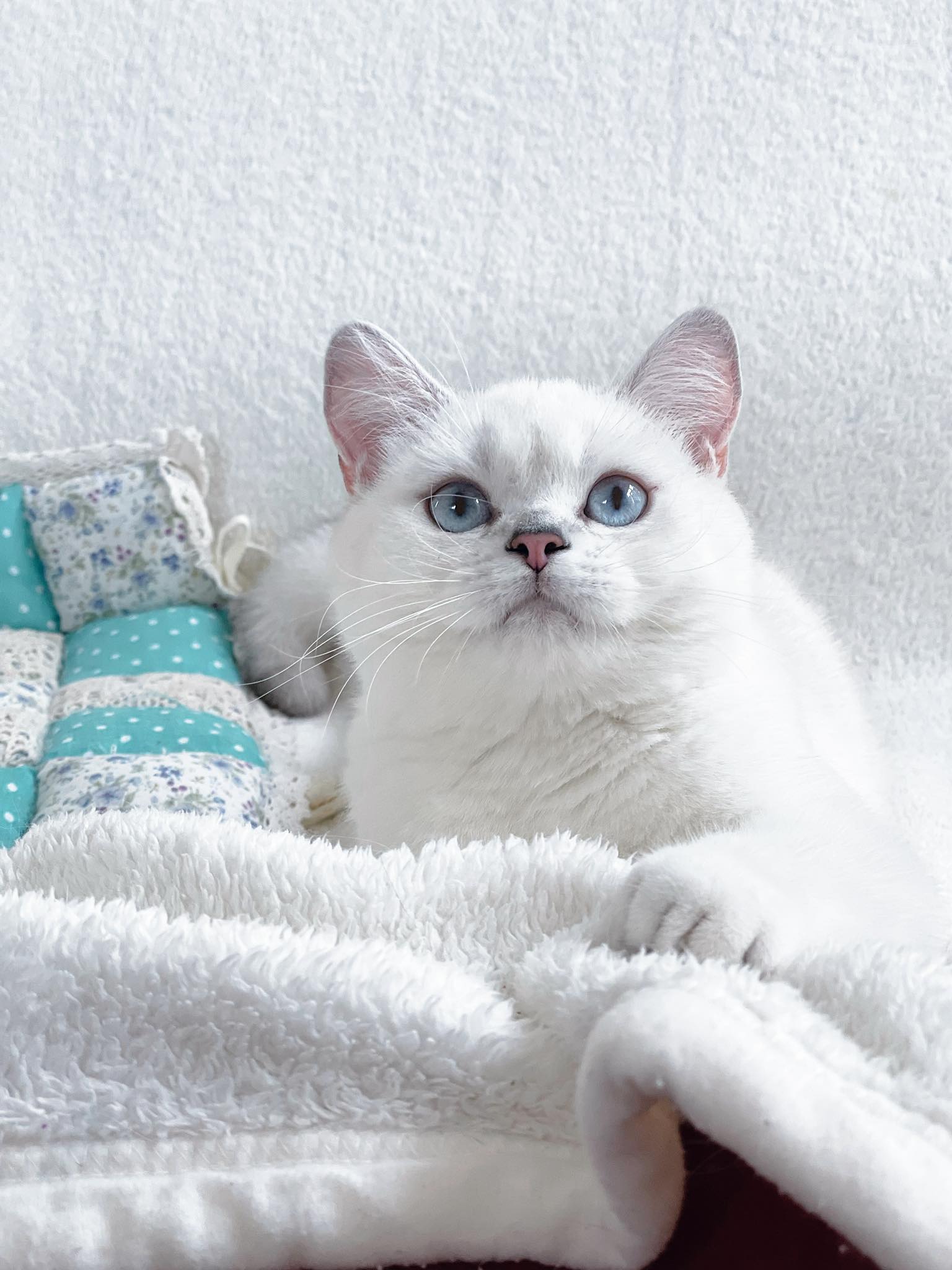 Beatris Bravo Geirlina Dolce of RNG Astronomical