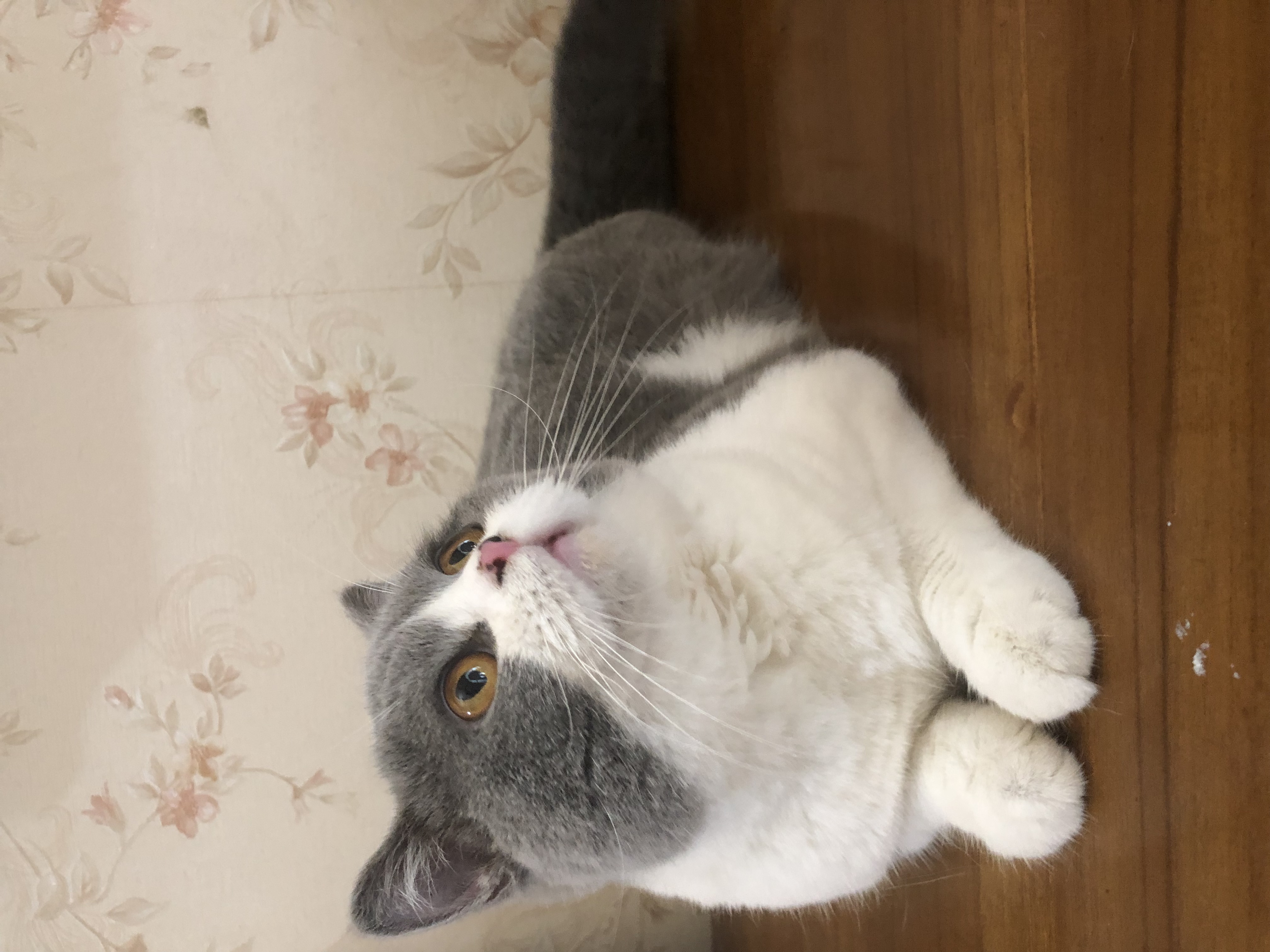 Sisley Fabijansky*PL