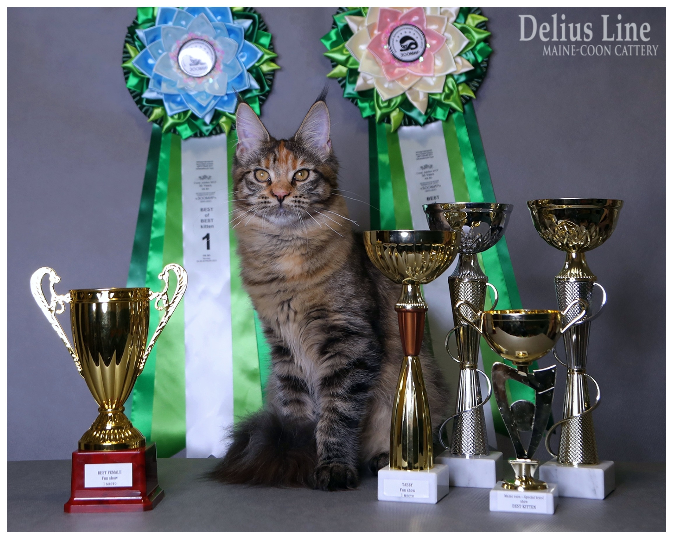 Master, JCH. Delius Line Ya'Zest East