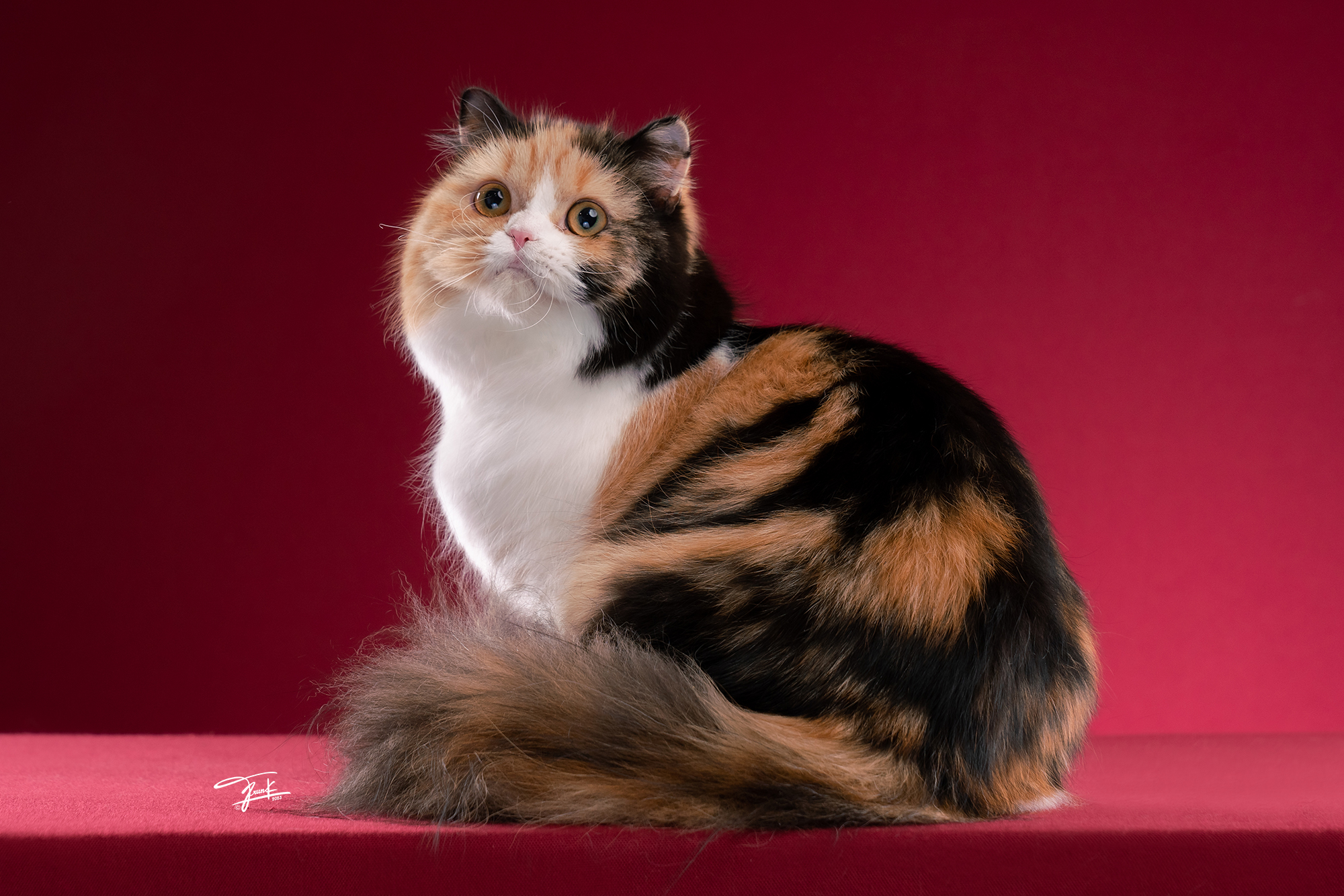 Easternstary’s Gaia