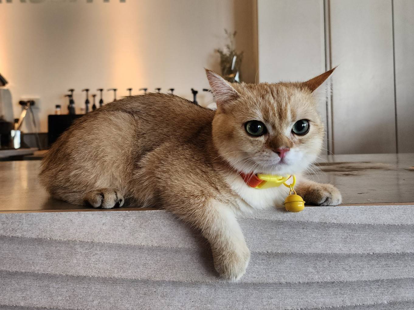 Southy Kids's ESunday