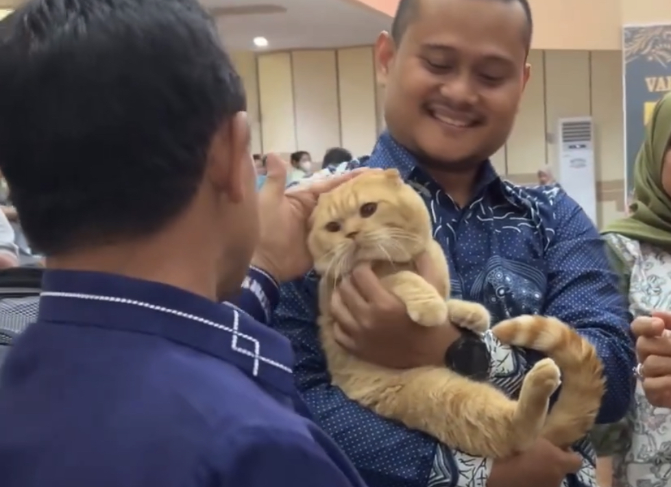 CH. CH. Mardiandra Ginger Bear of Anugrah