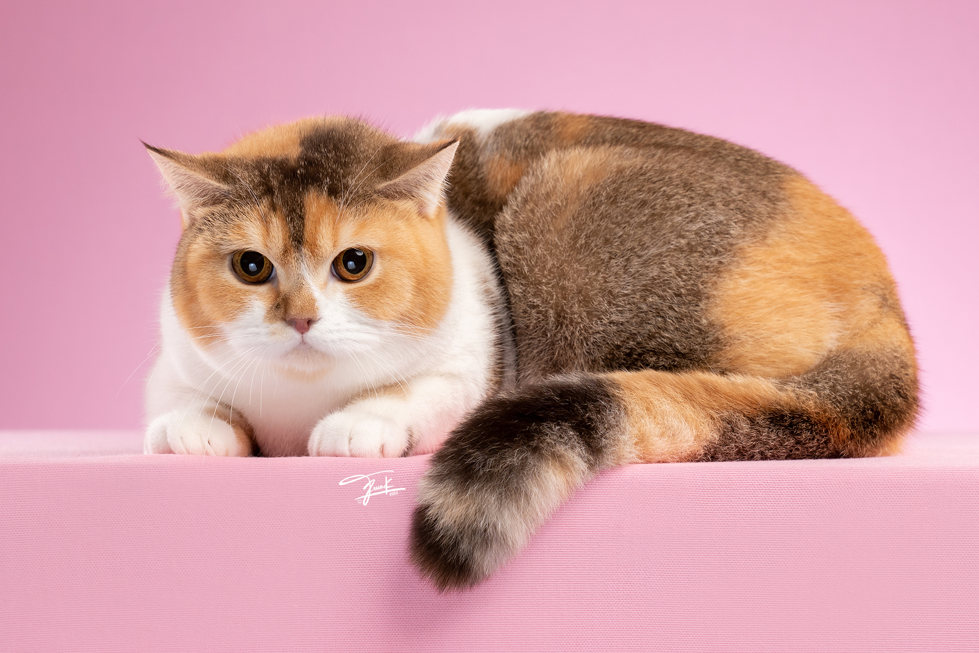 CH.Dreamcatcher Fang Khao