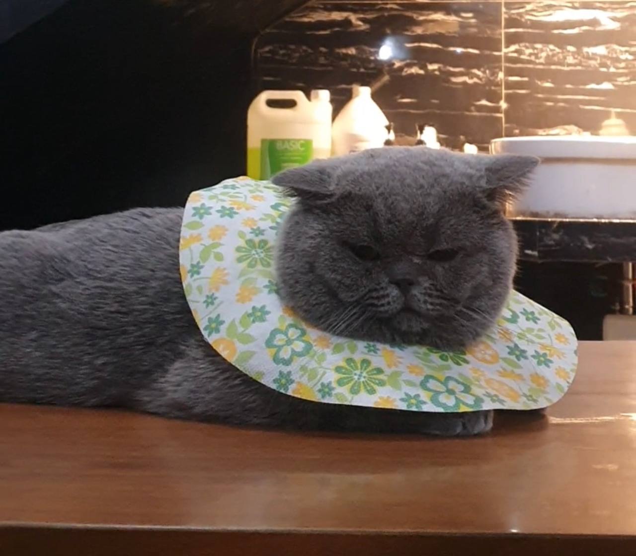 Kornelius Amadeiro of Anugrah