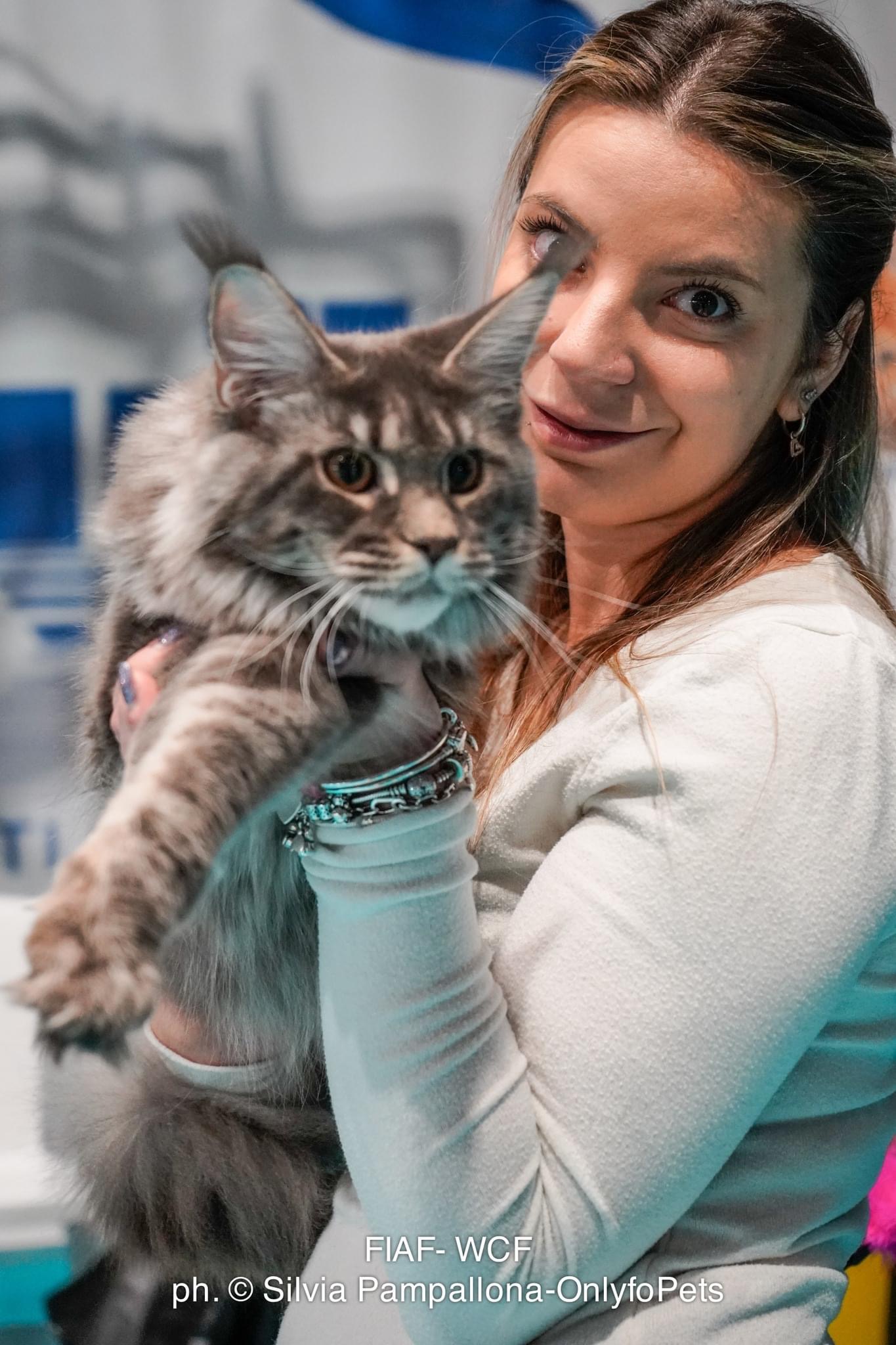 Il Gigante Felino Eclipse