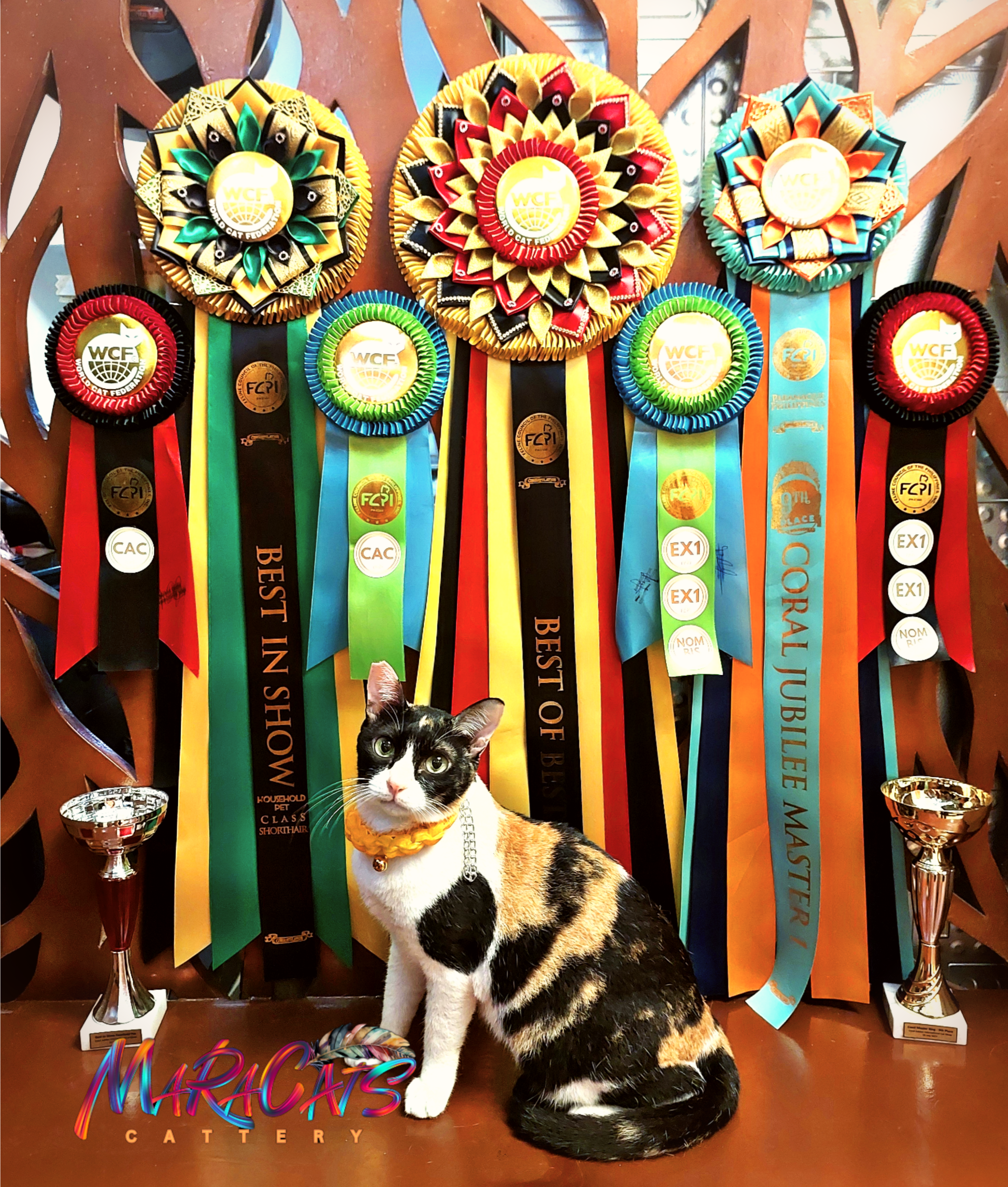 Lady Broite of Maracats