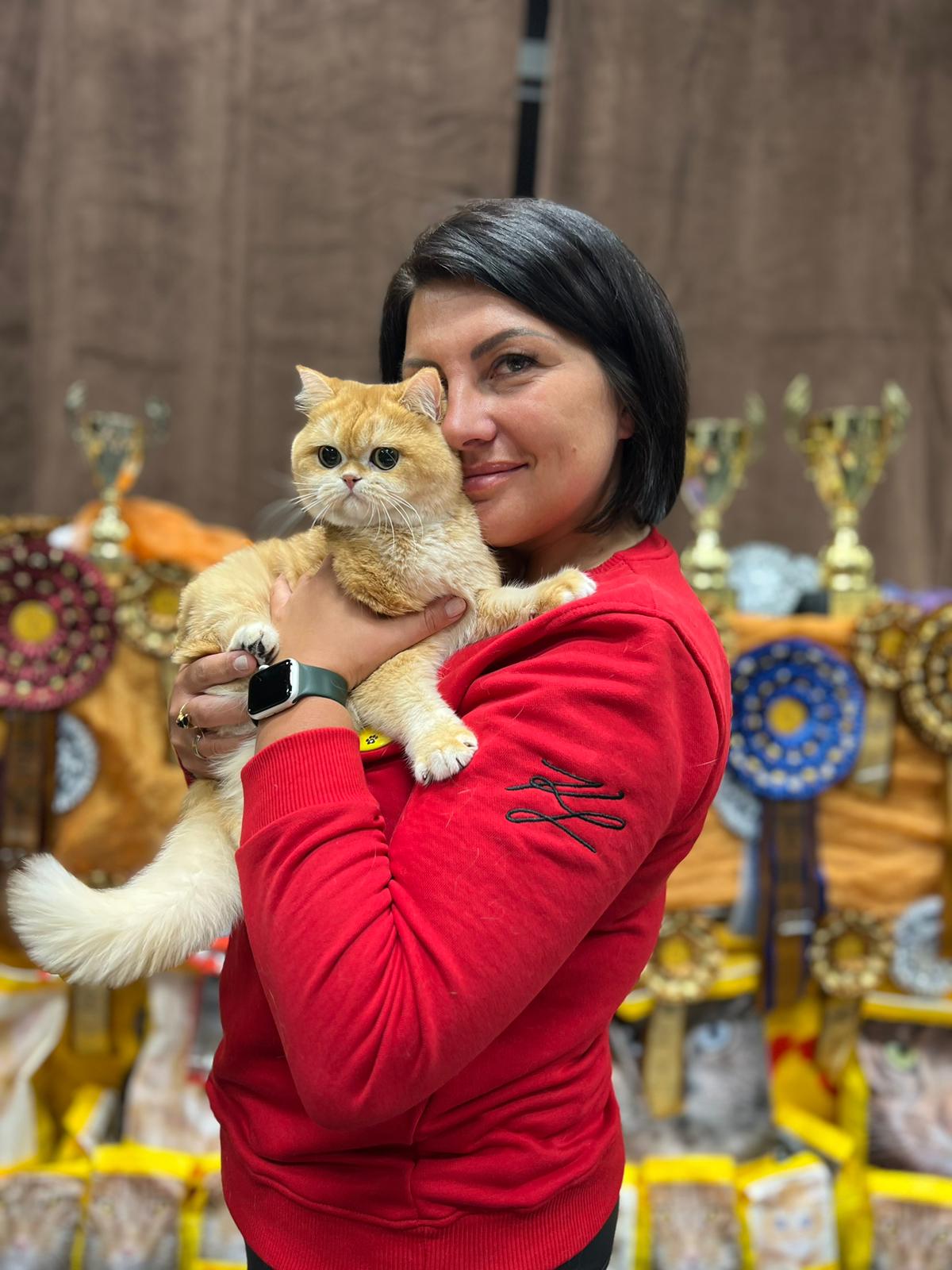 CH. Quincy Alba Rock