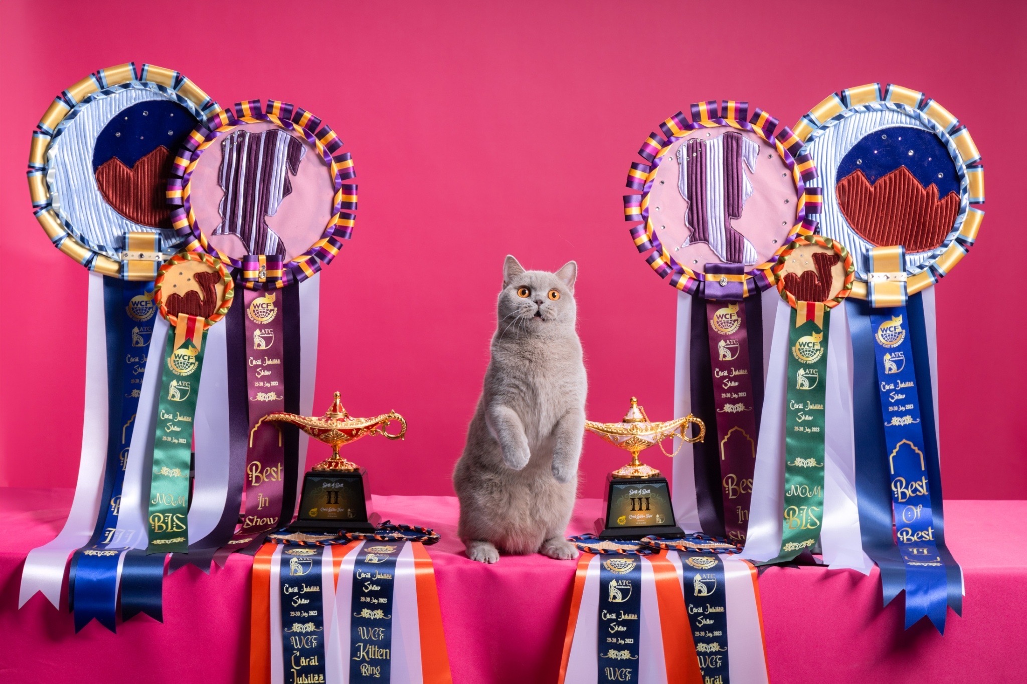 JCH. Kasalongsongpeep Dee dee