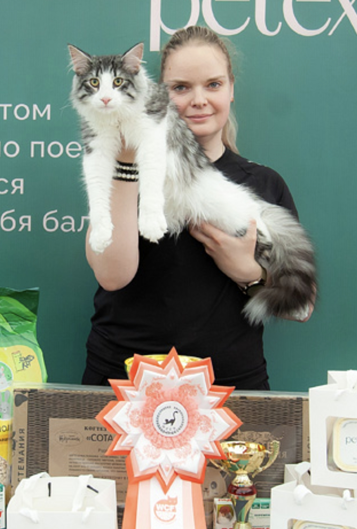 Icebreaker Foxes' Noses*RU