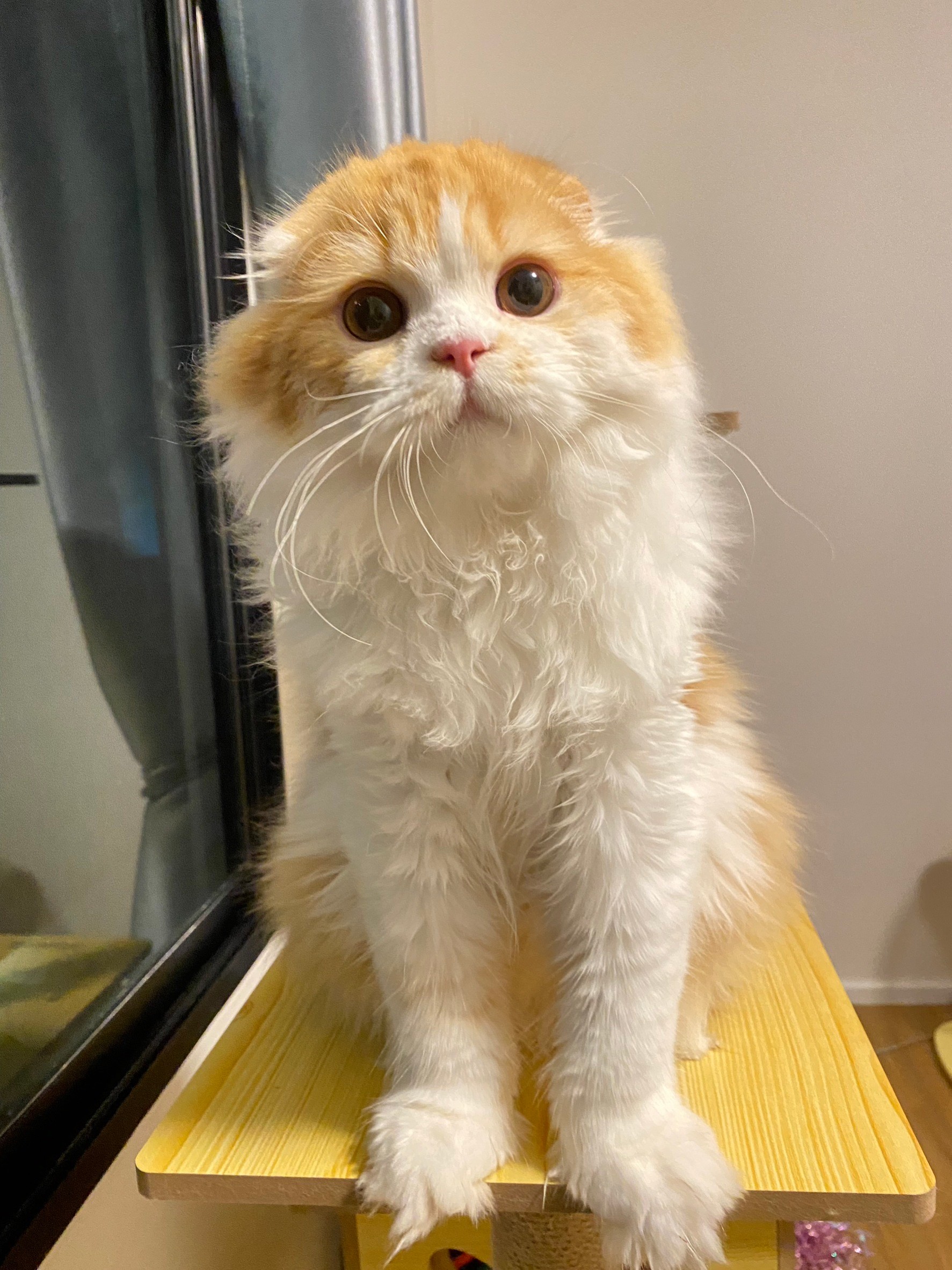 Sundemorning Frankfurt