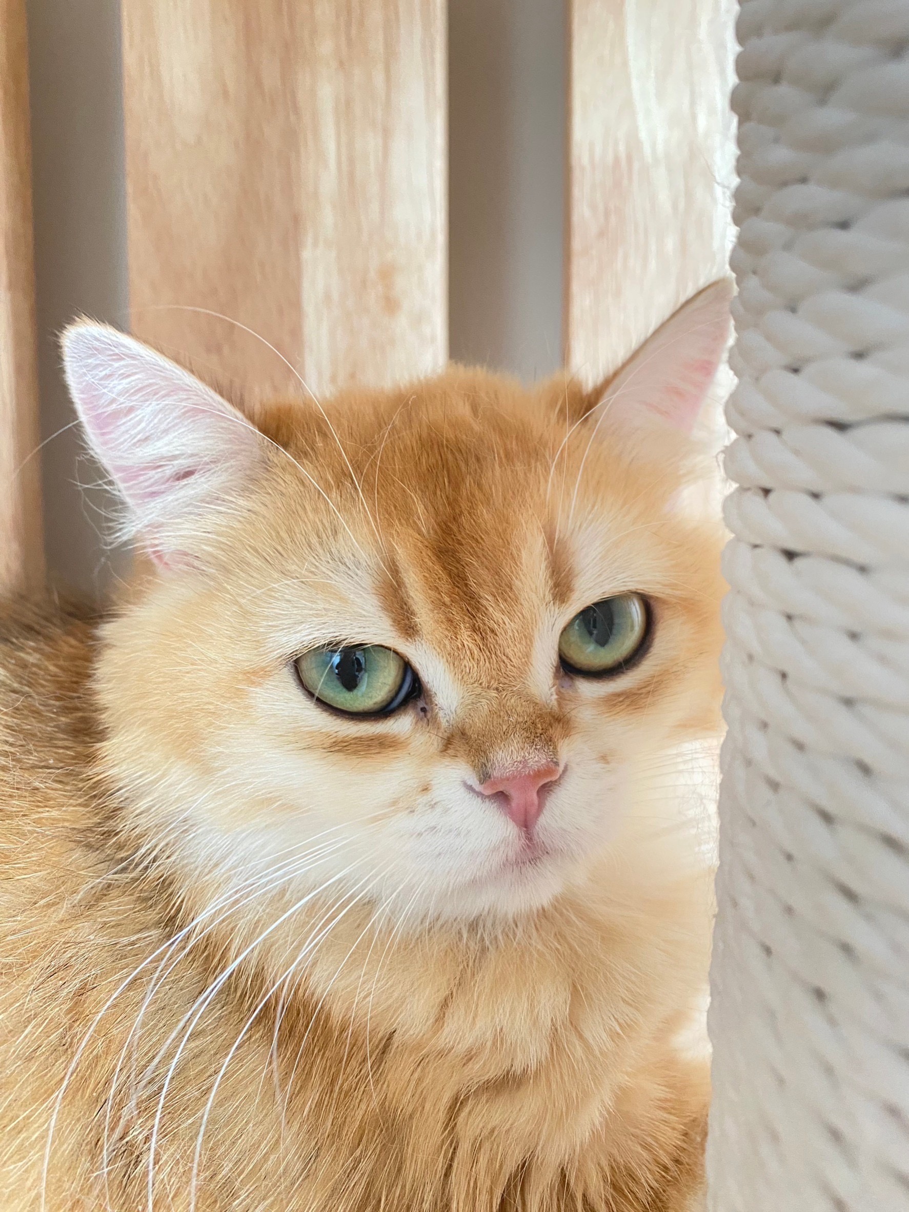 So Great! from Raven City