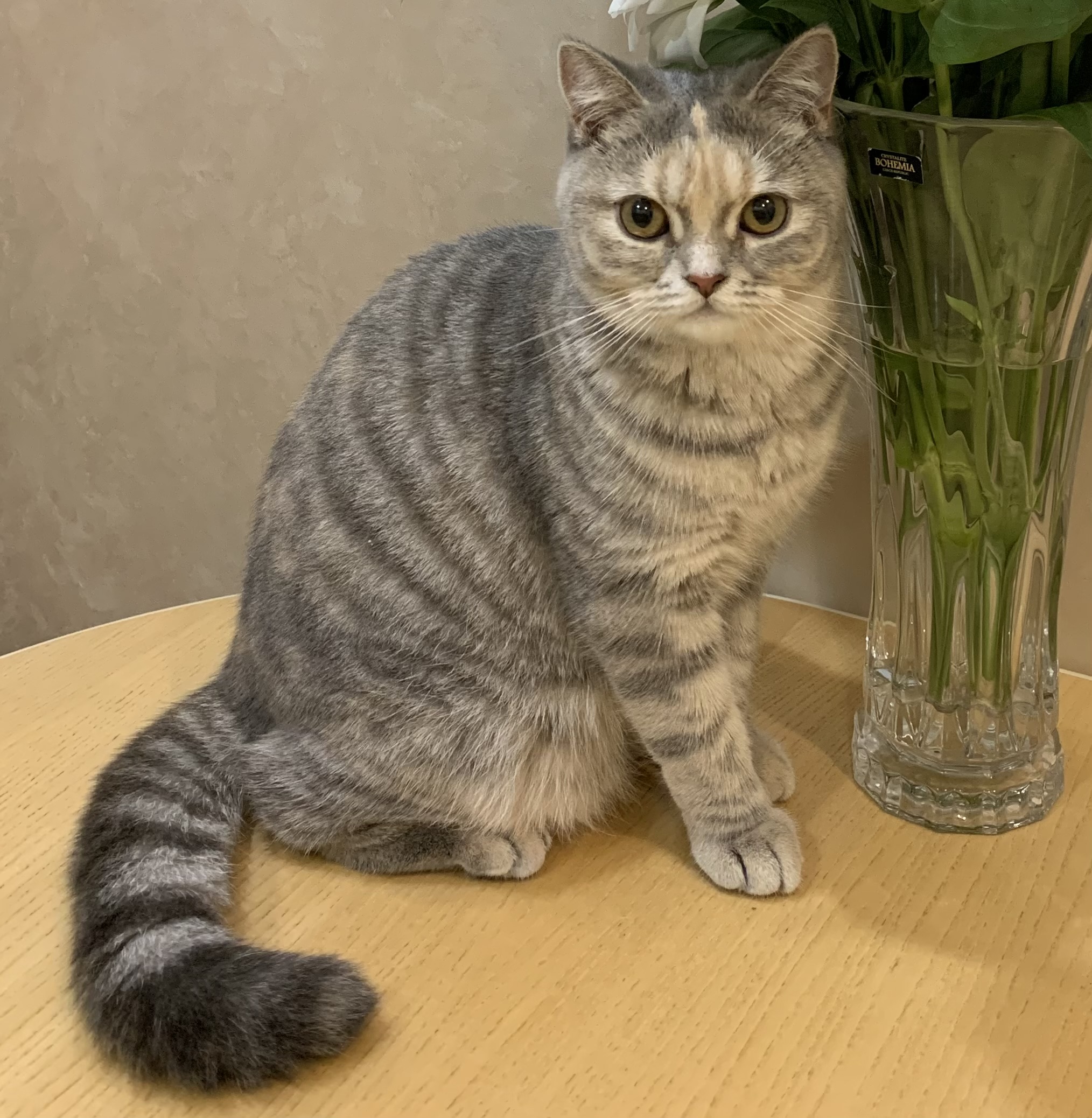 Abbi Flary Grand DeLorean