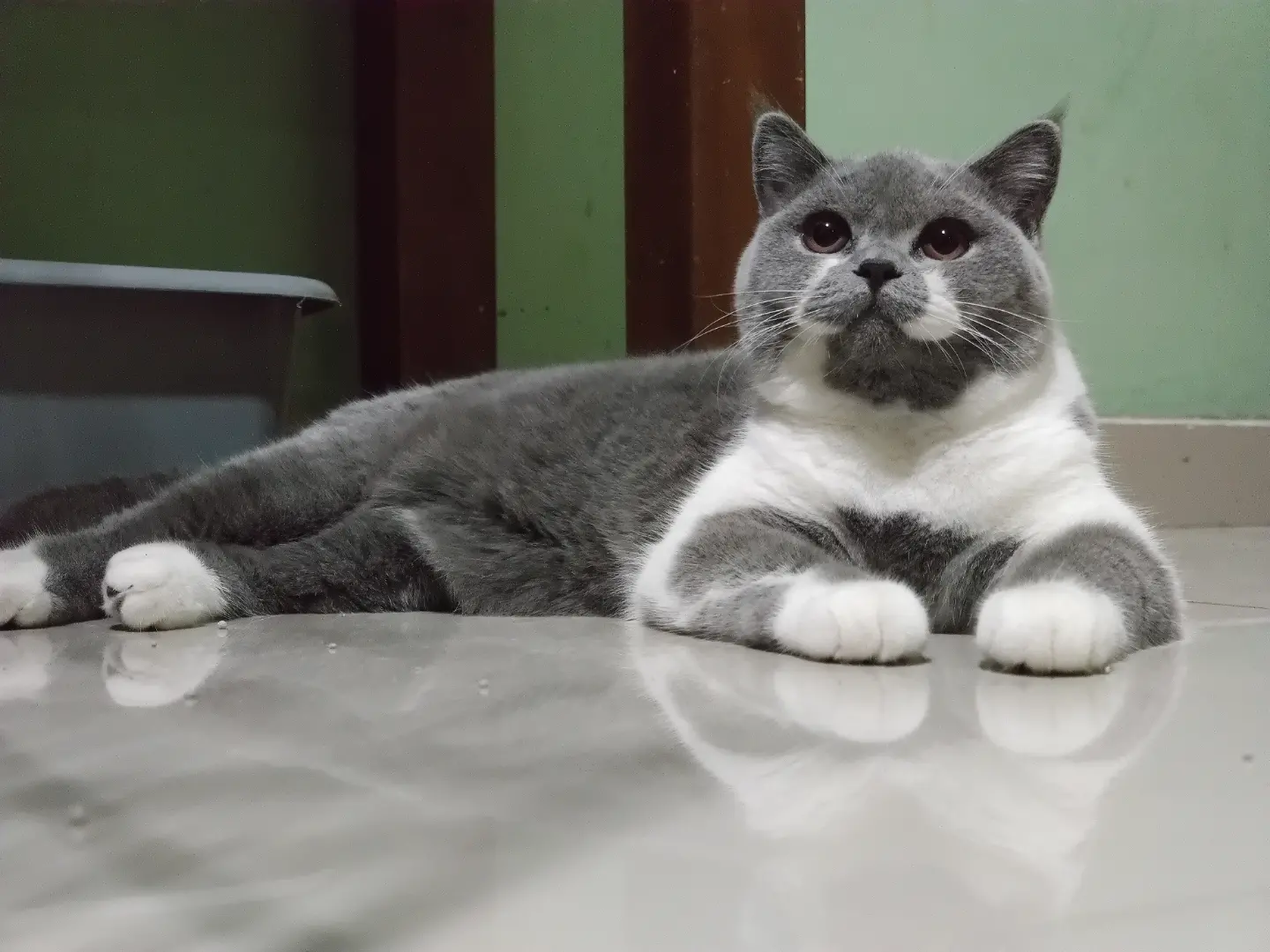 Good Anantya Lilibeth