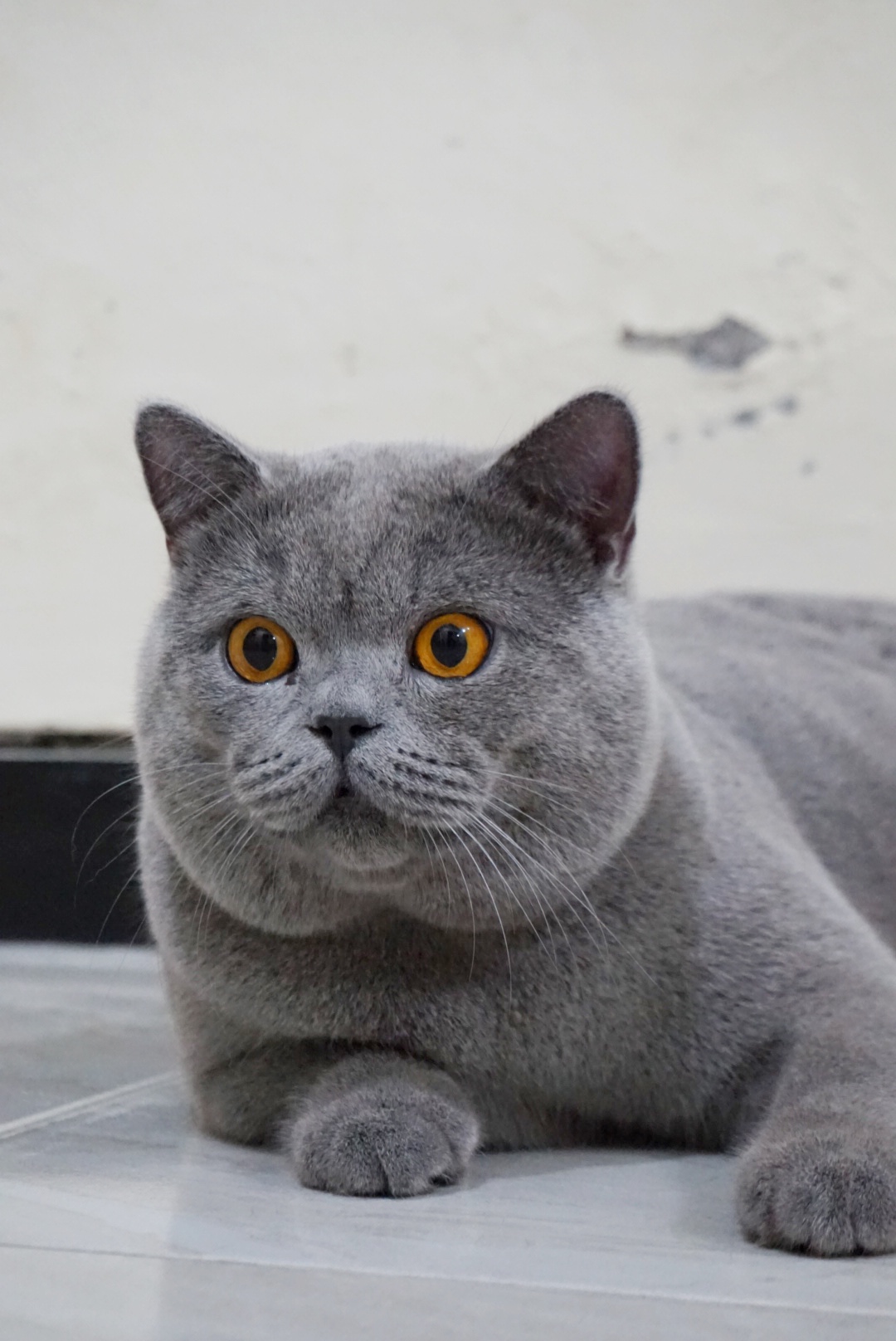 Jacob Namu Meowvibha