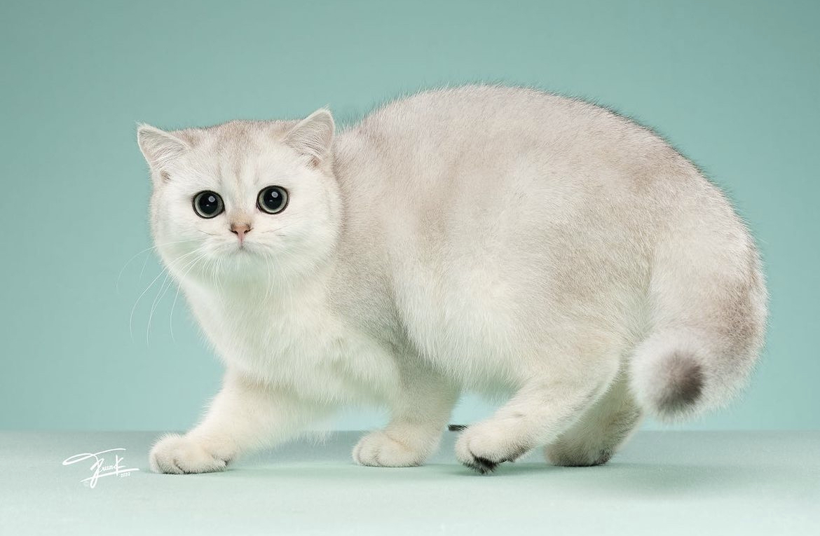 Emily In Paris of Dori Dori