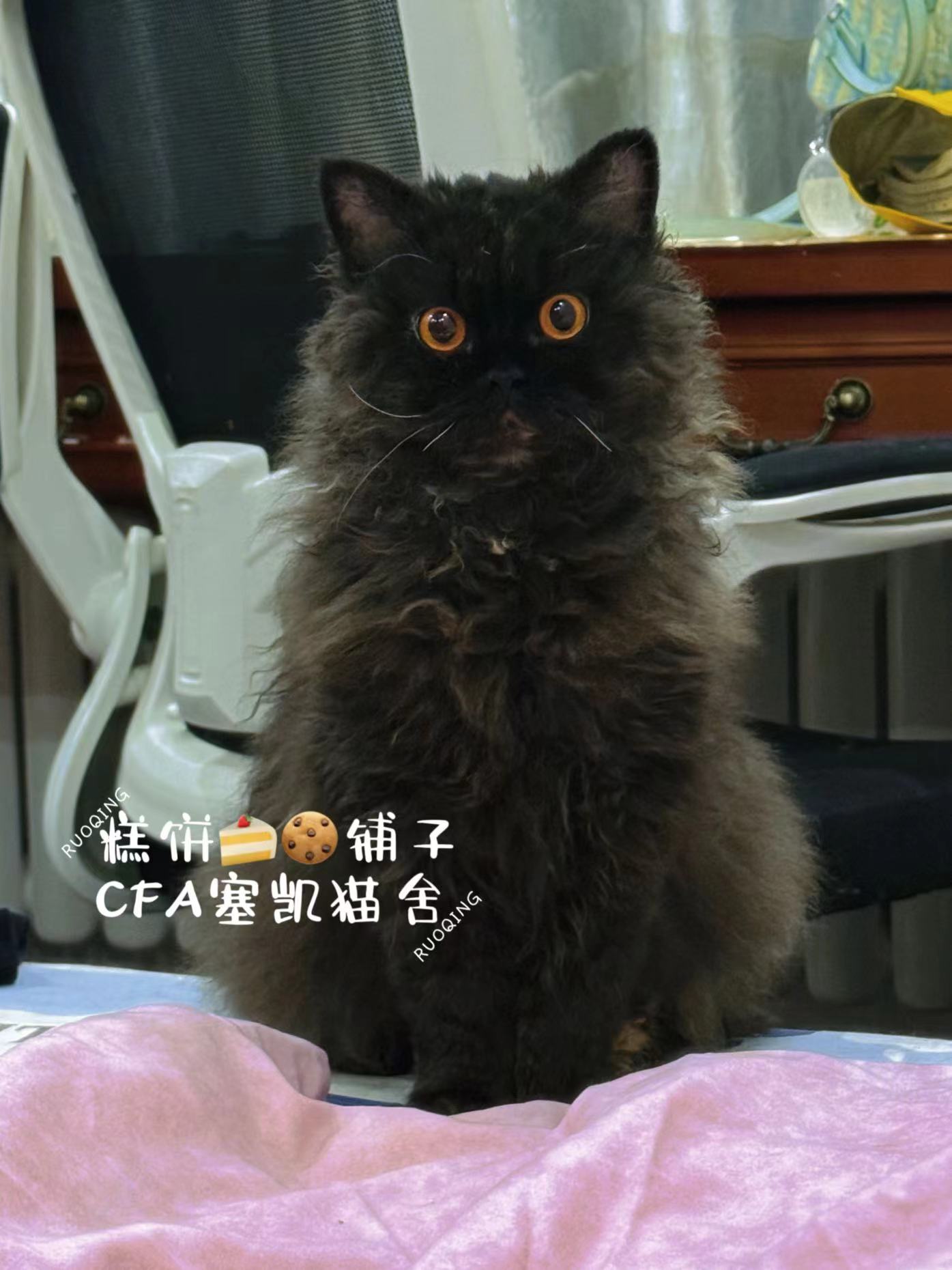 HeiMei