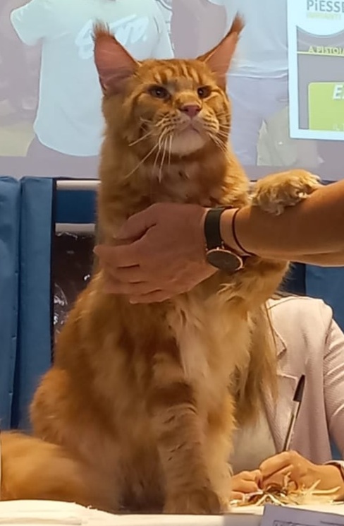 la valle dell'inferno MUFASA