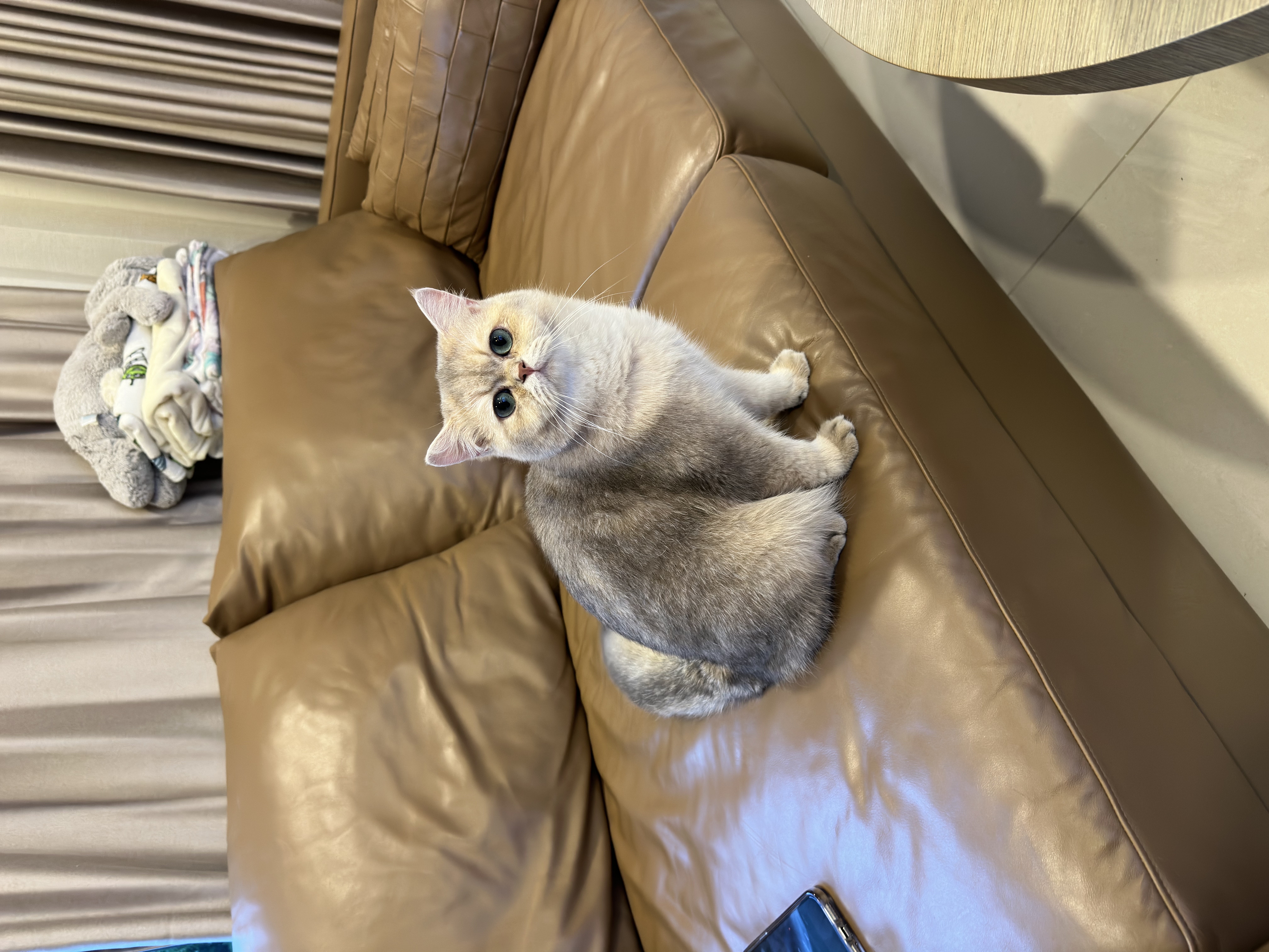 Ngamsanga Indigo Yuji