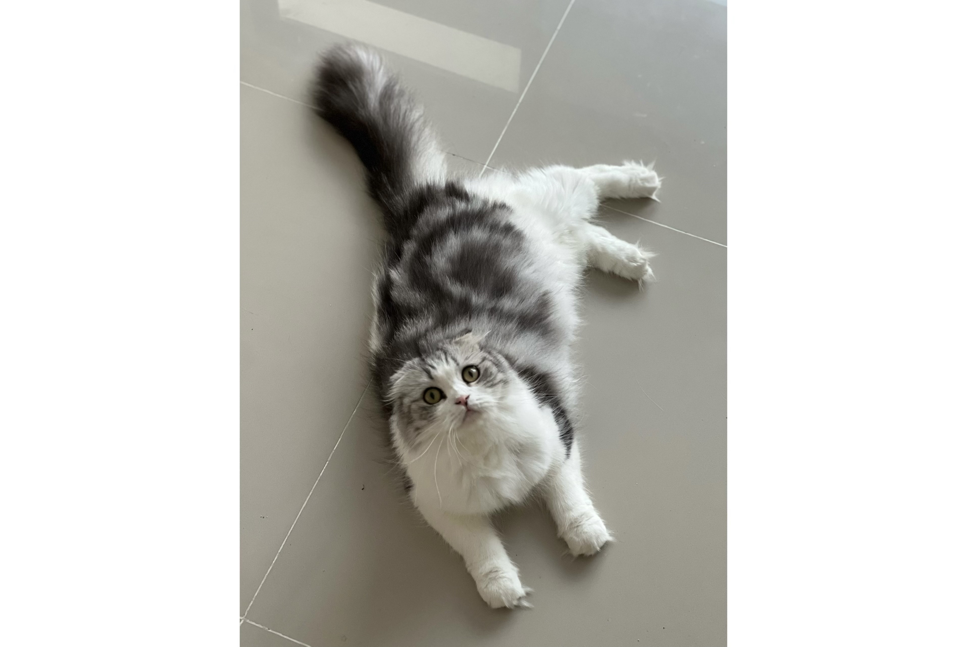 Saturday Pls Beloved Jasmine