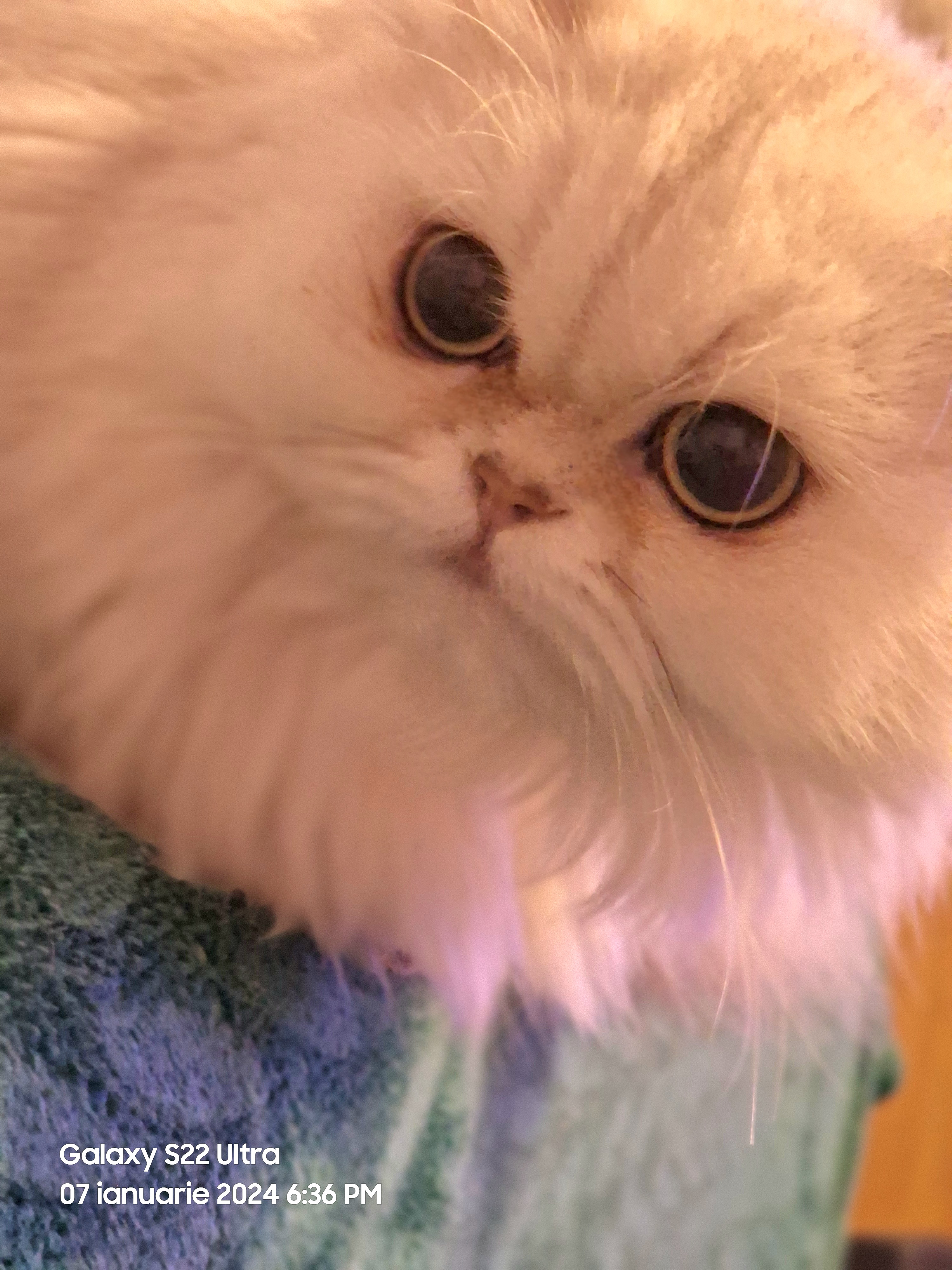 Faith Ferando Blanka