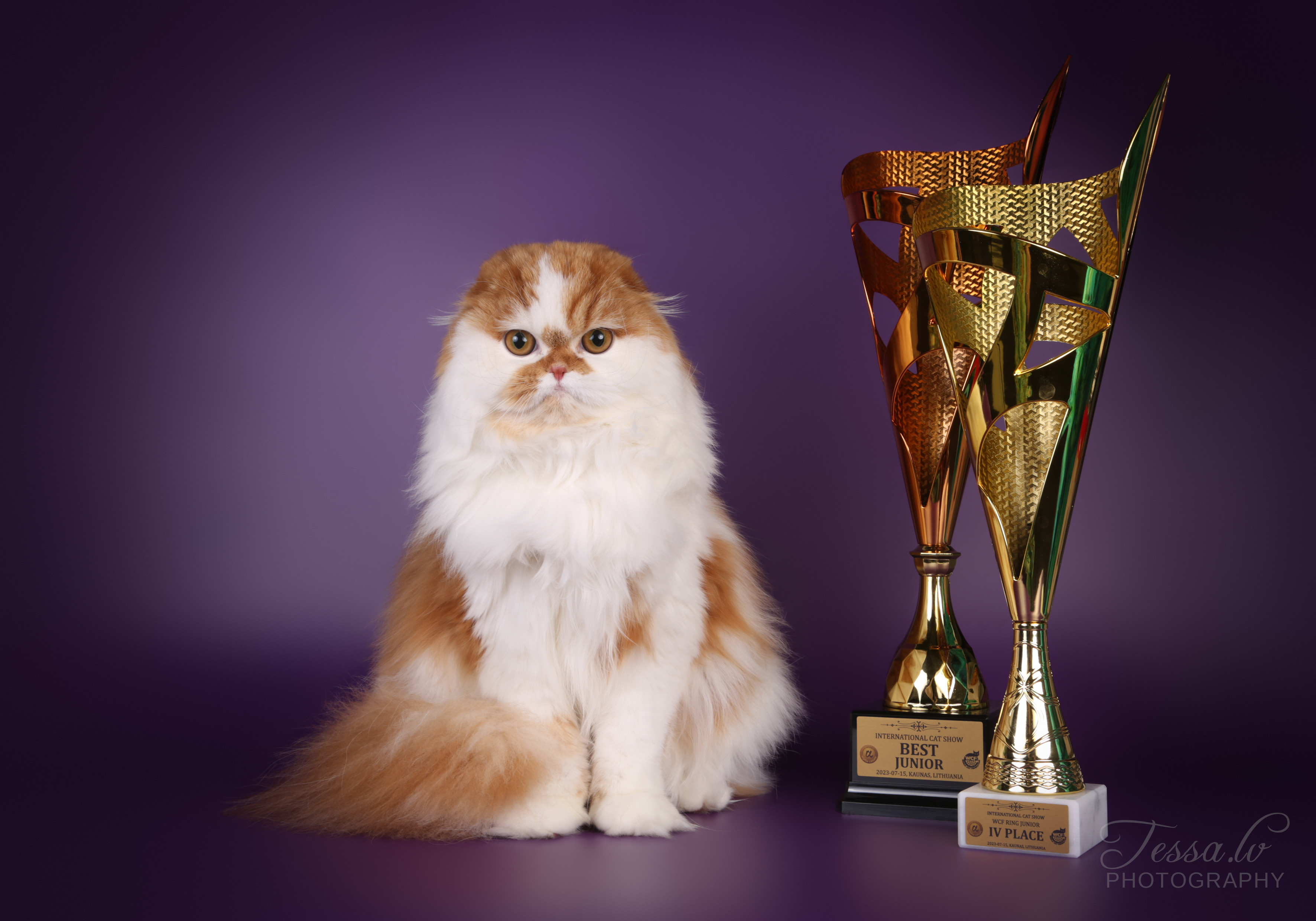 Izabella of DreaMurr