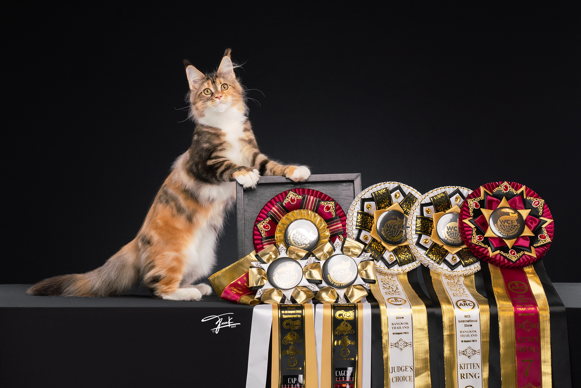 CH. Glorious Ruler*TH Brownie