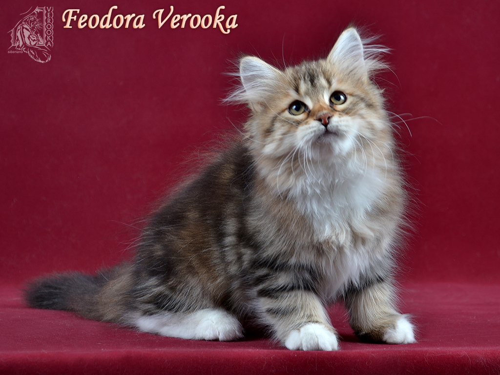 Feodora Verooka